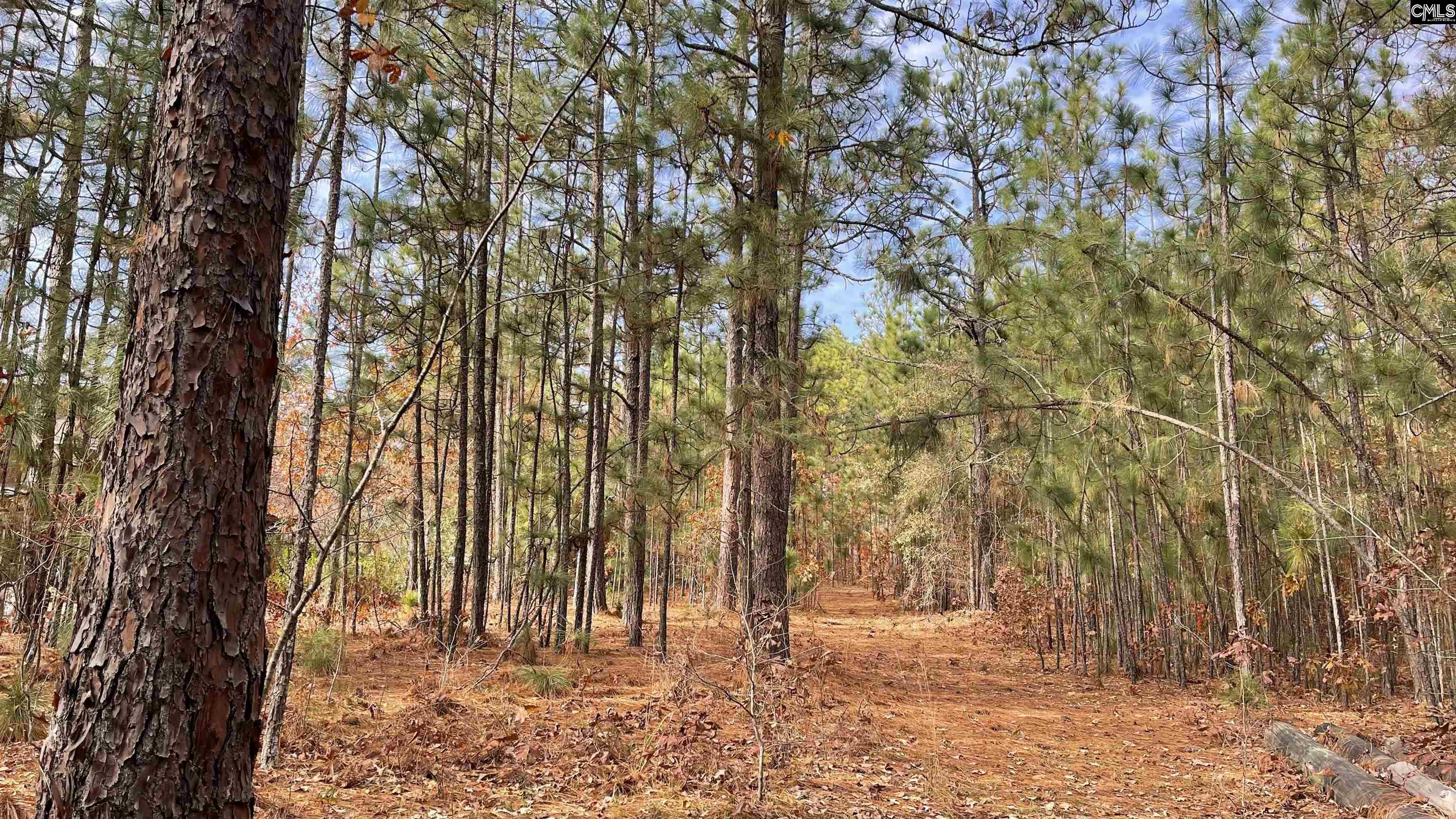 1054 Gary Goff Road Elgin, SC 29045