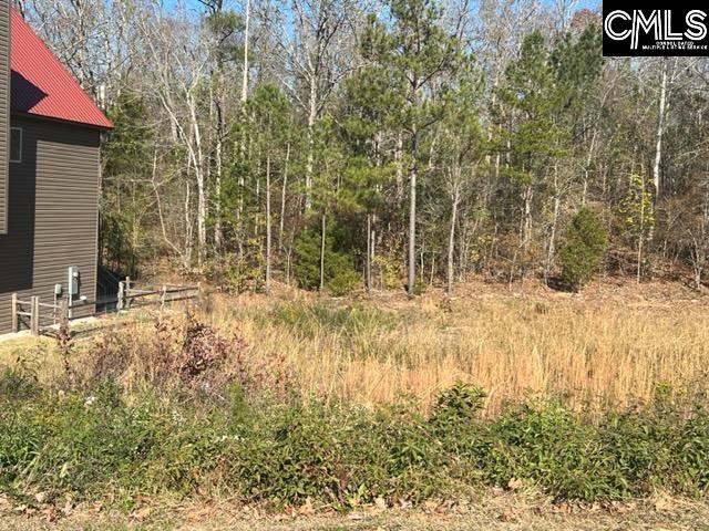245 Marina Cove Drive Unit Lot 87 Gilbert, SC 29054