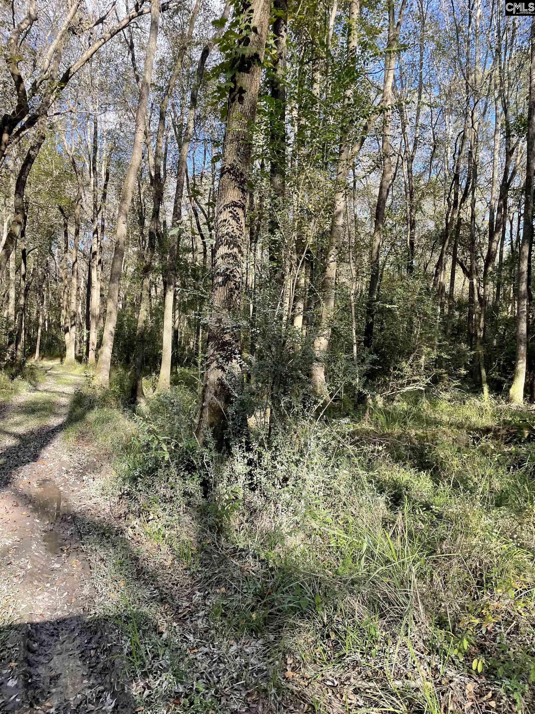 2165 Fish Hatchery Lane, West Columbia, South Carolina for 695,000