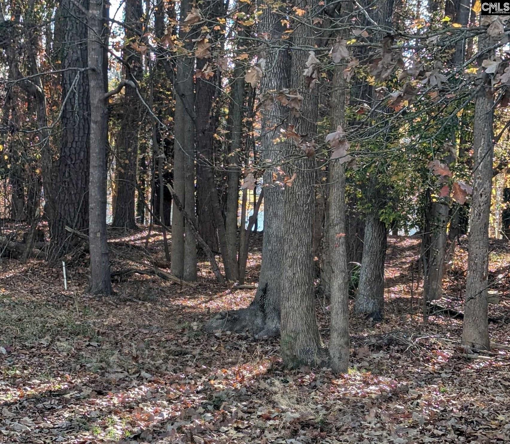 2012 Hollands Landing Rd. Prosperity, SC 29108