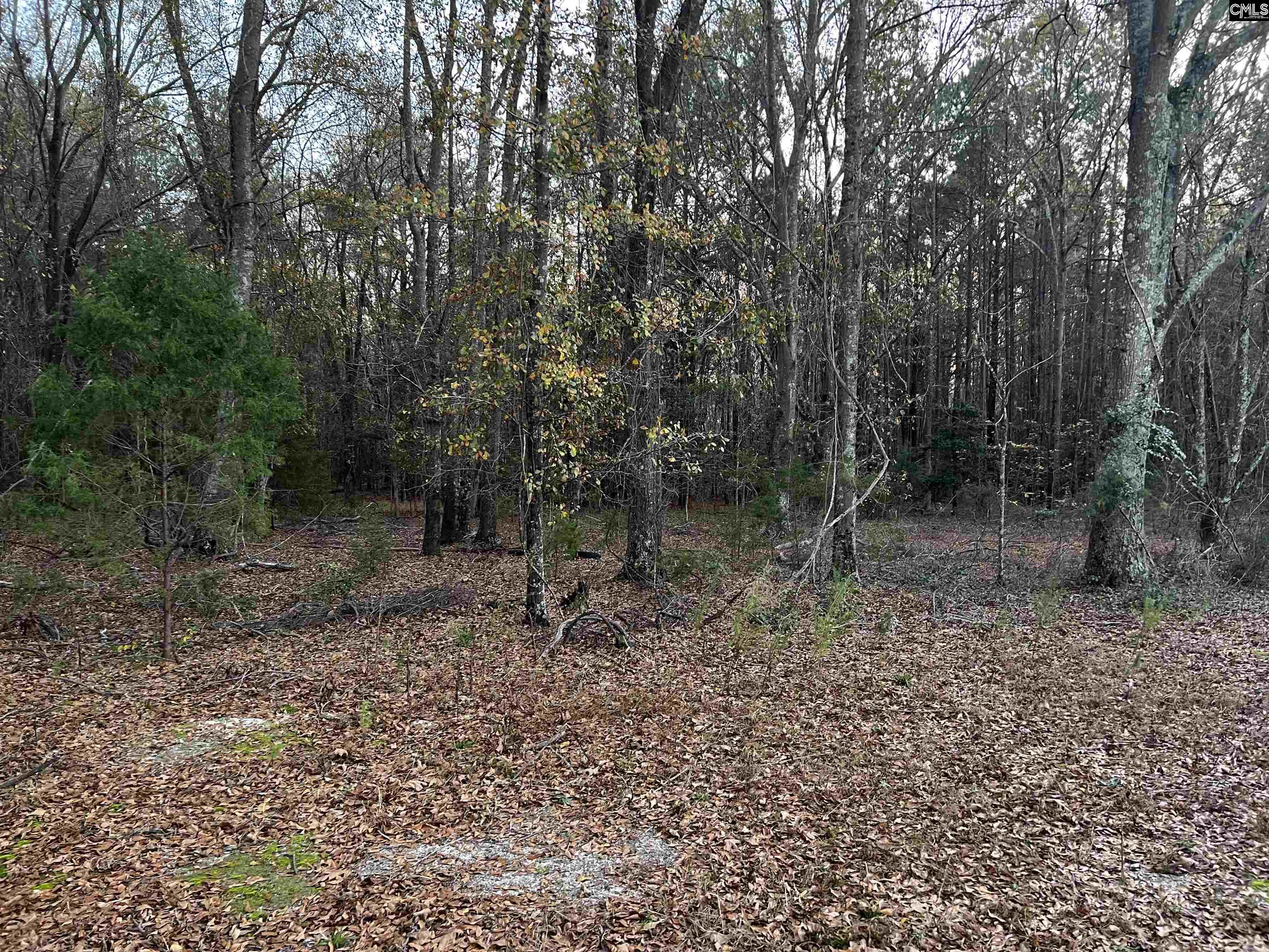 195 Turkey Farm Road Blythewood, SC 29016