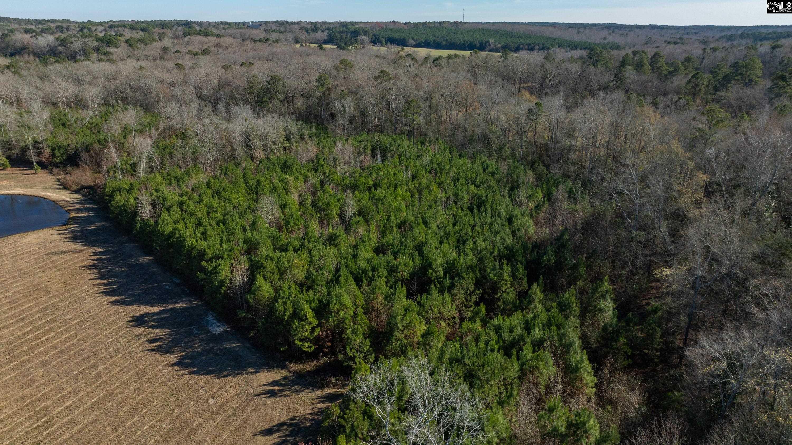 Cedar Grove Road, Leesville, South Carolina image 10