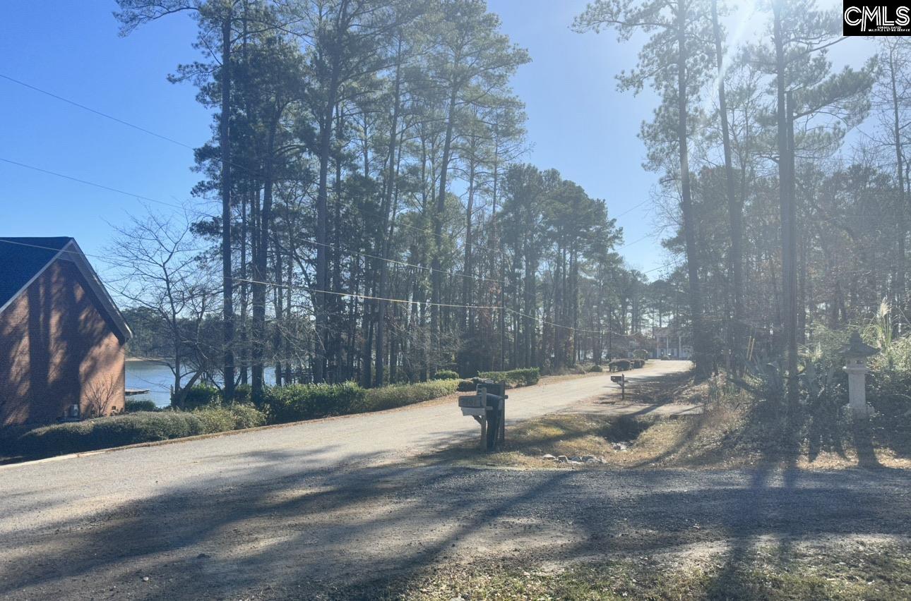 Silver Point Road Unit A Chapin, SC 29036