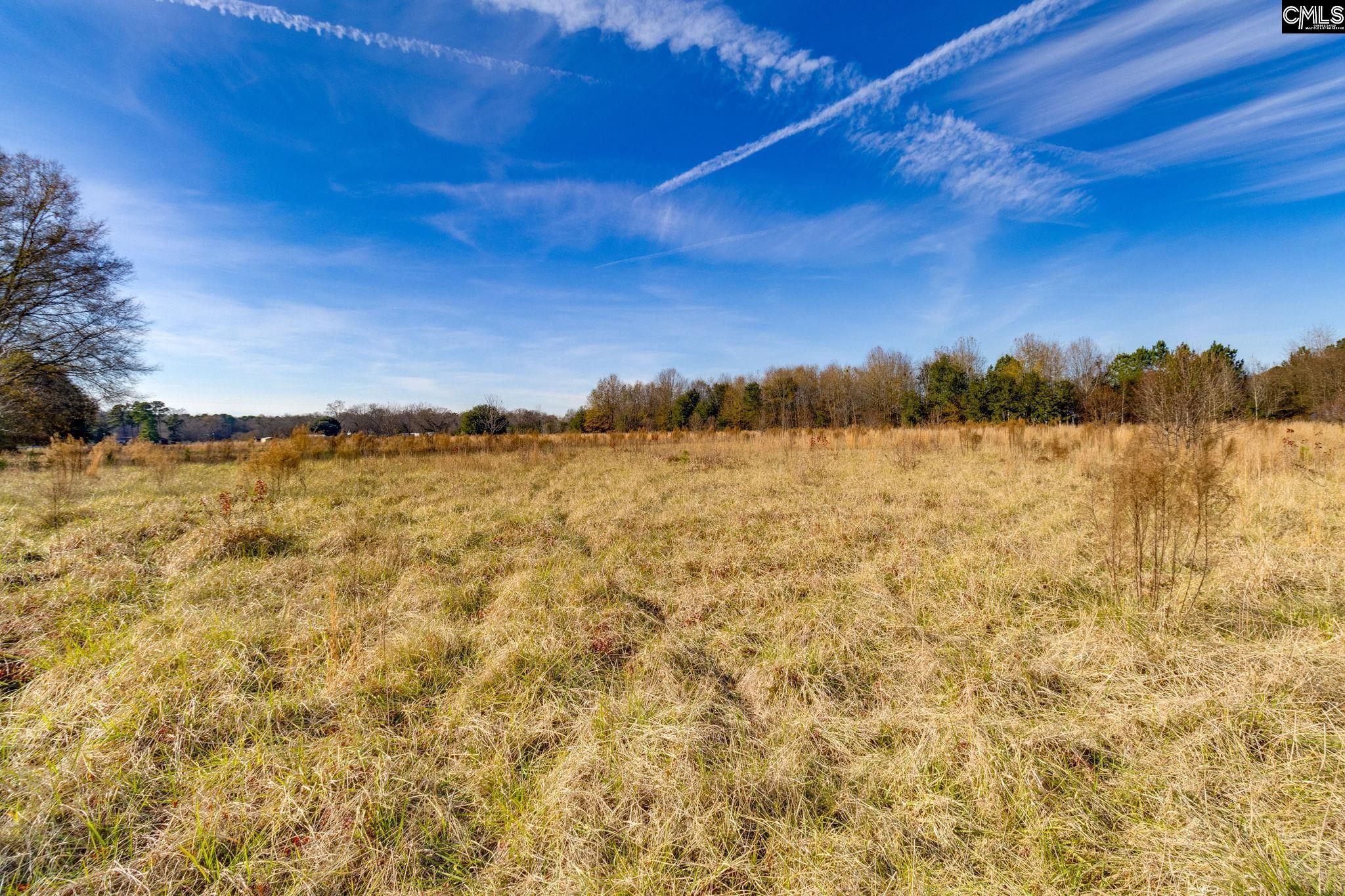 230 Fox Meadow Lane Unit Lot 1 Hopkins, SC 29061