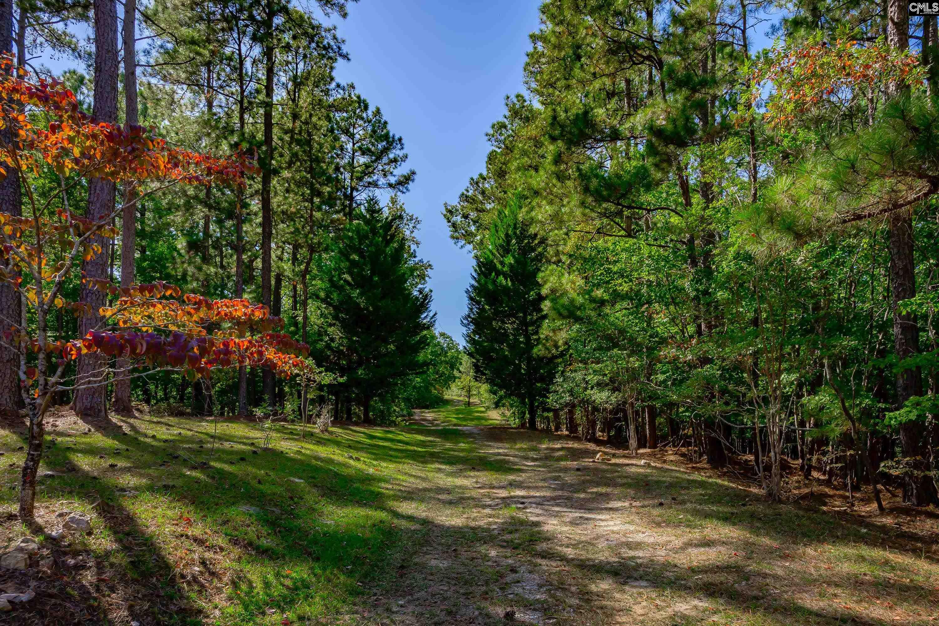 10011 Longtown Road Ridgeway, SC 29130