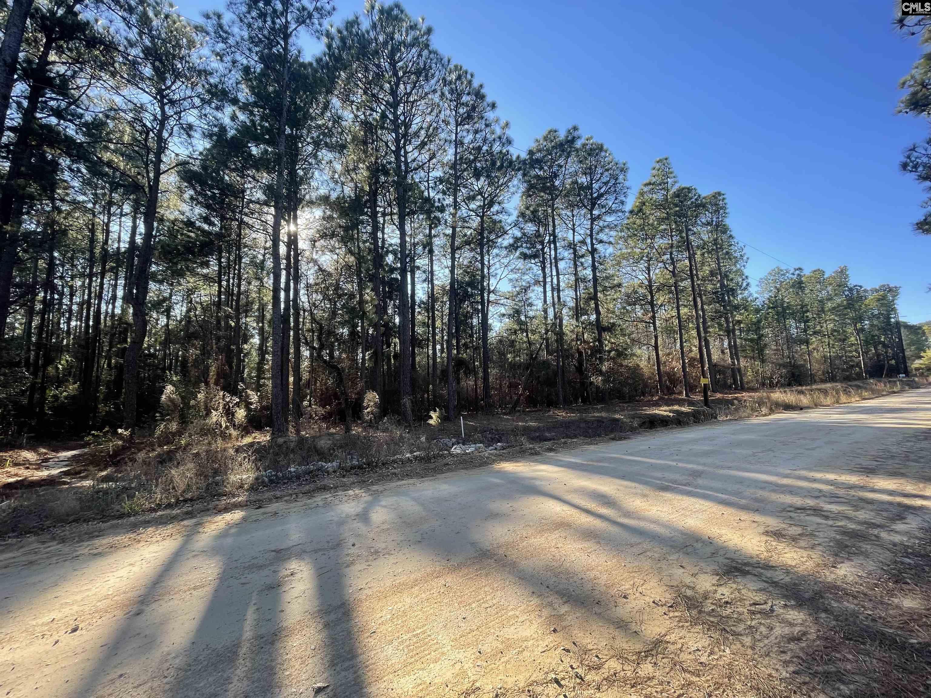 Pepper Road Lexington, SC 29073