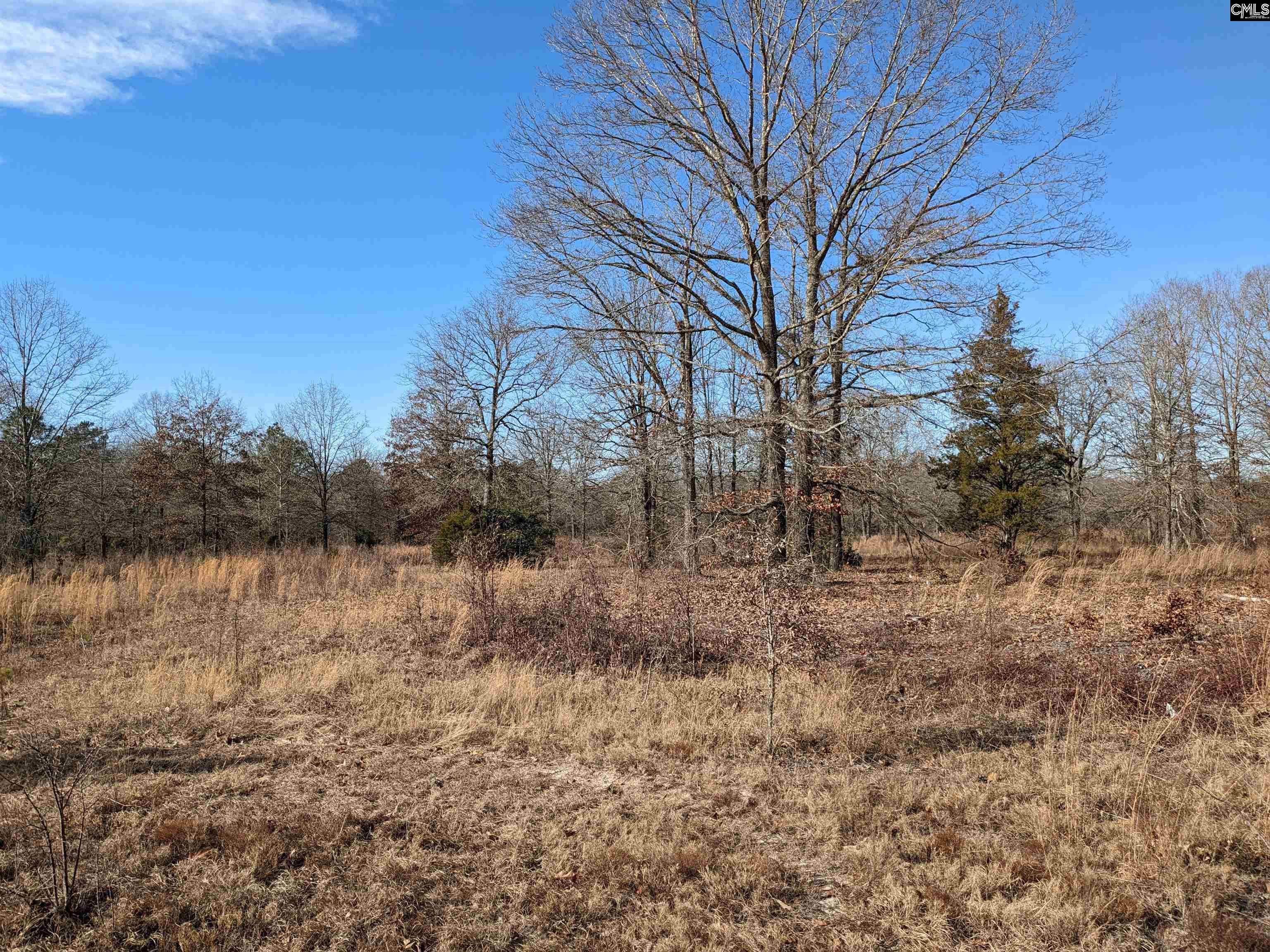 378 Hound Hollow Road Camden, SC 29020