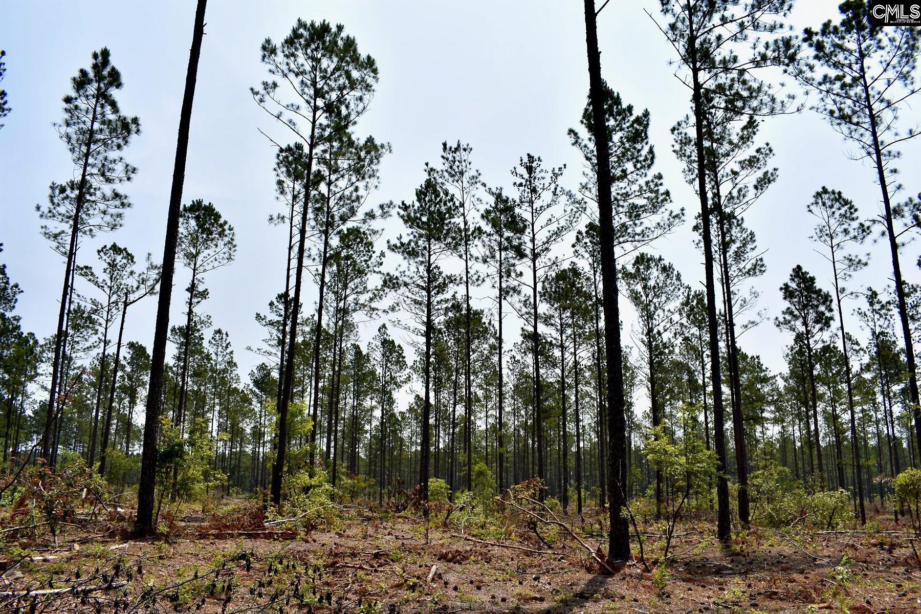 Tbd Lot 1 Pickett Thomas Road Unit #1 Camden, SC 29020