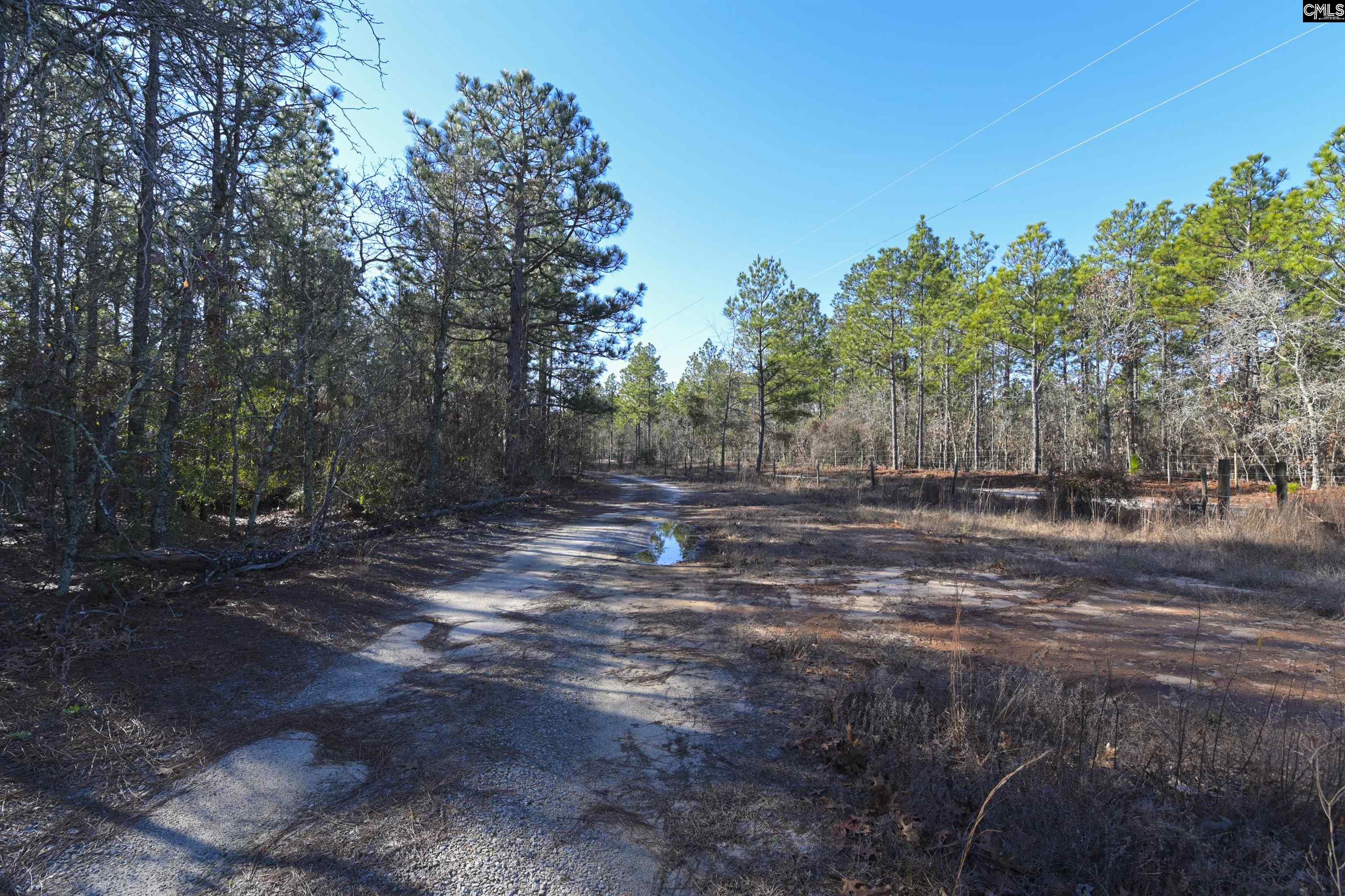 1446 Mack Street, Gaston, South Carolina image 17