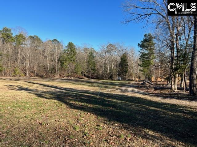815 A Murray Lindler Road Chapin, SC 29036