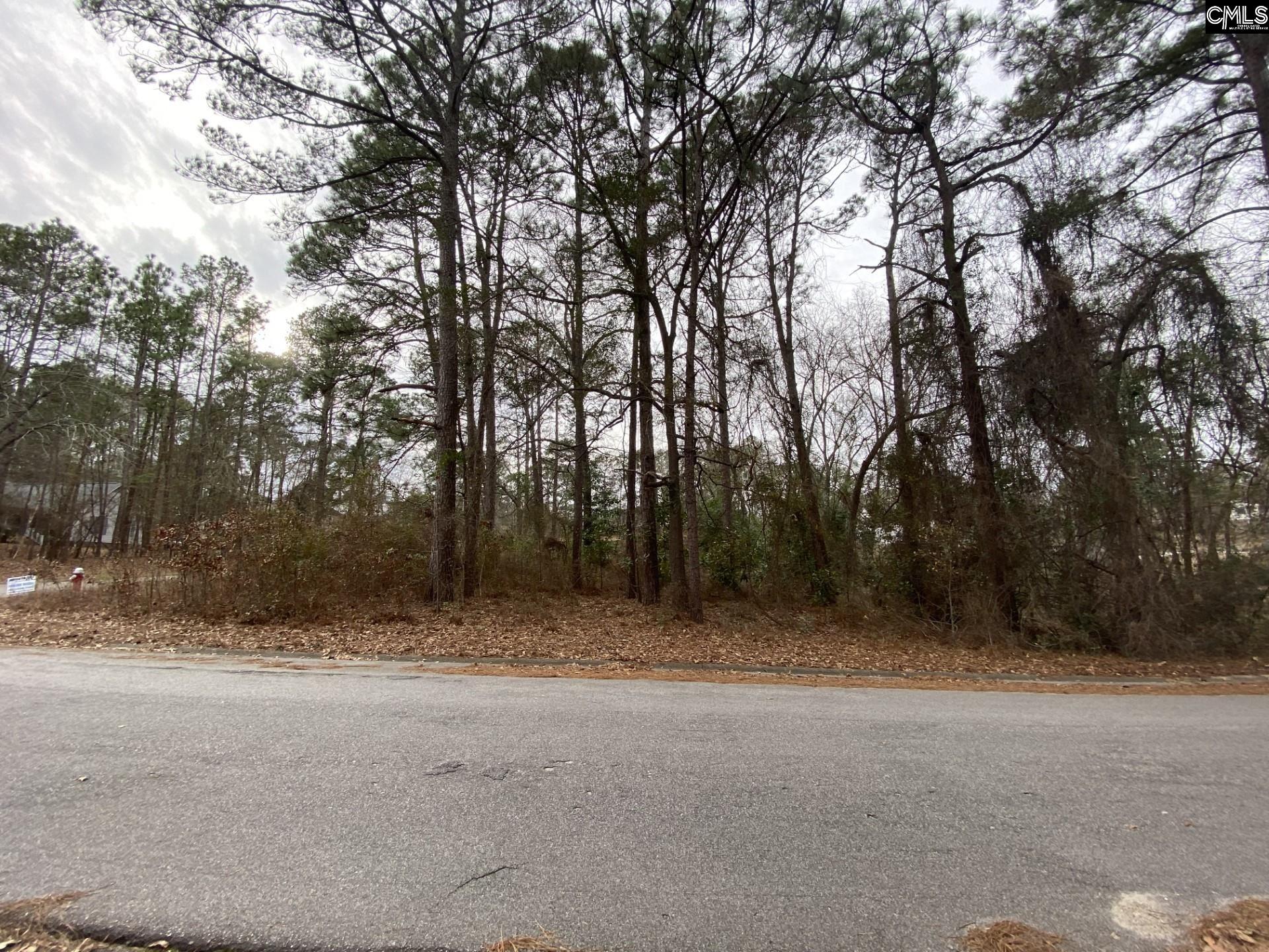 425 Cool Springs Drive Camden, SC 29020