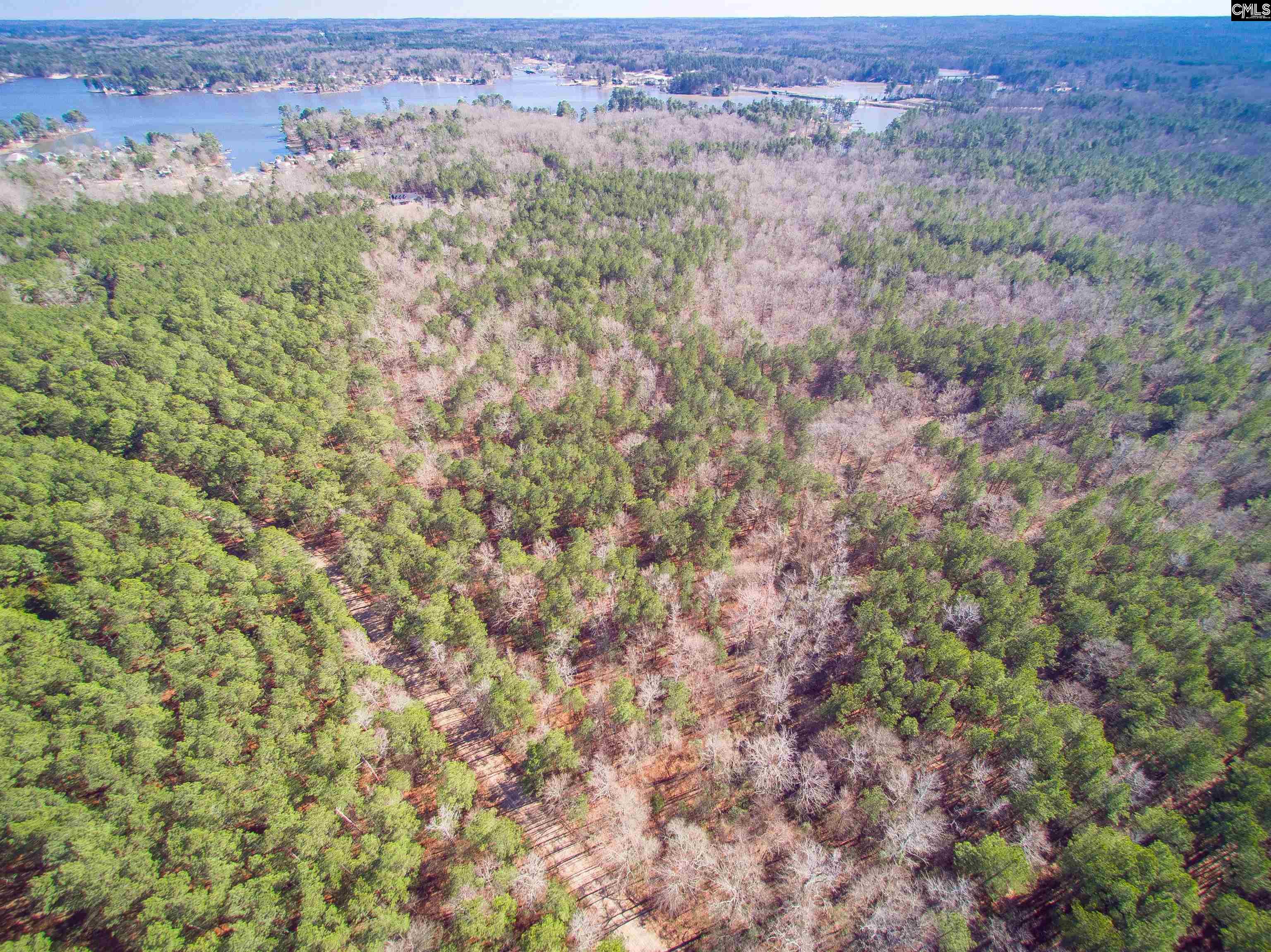 Red Star #LOT 4, Leesville, South Carolina image 25