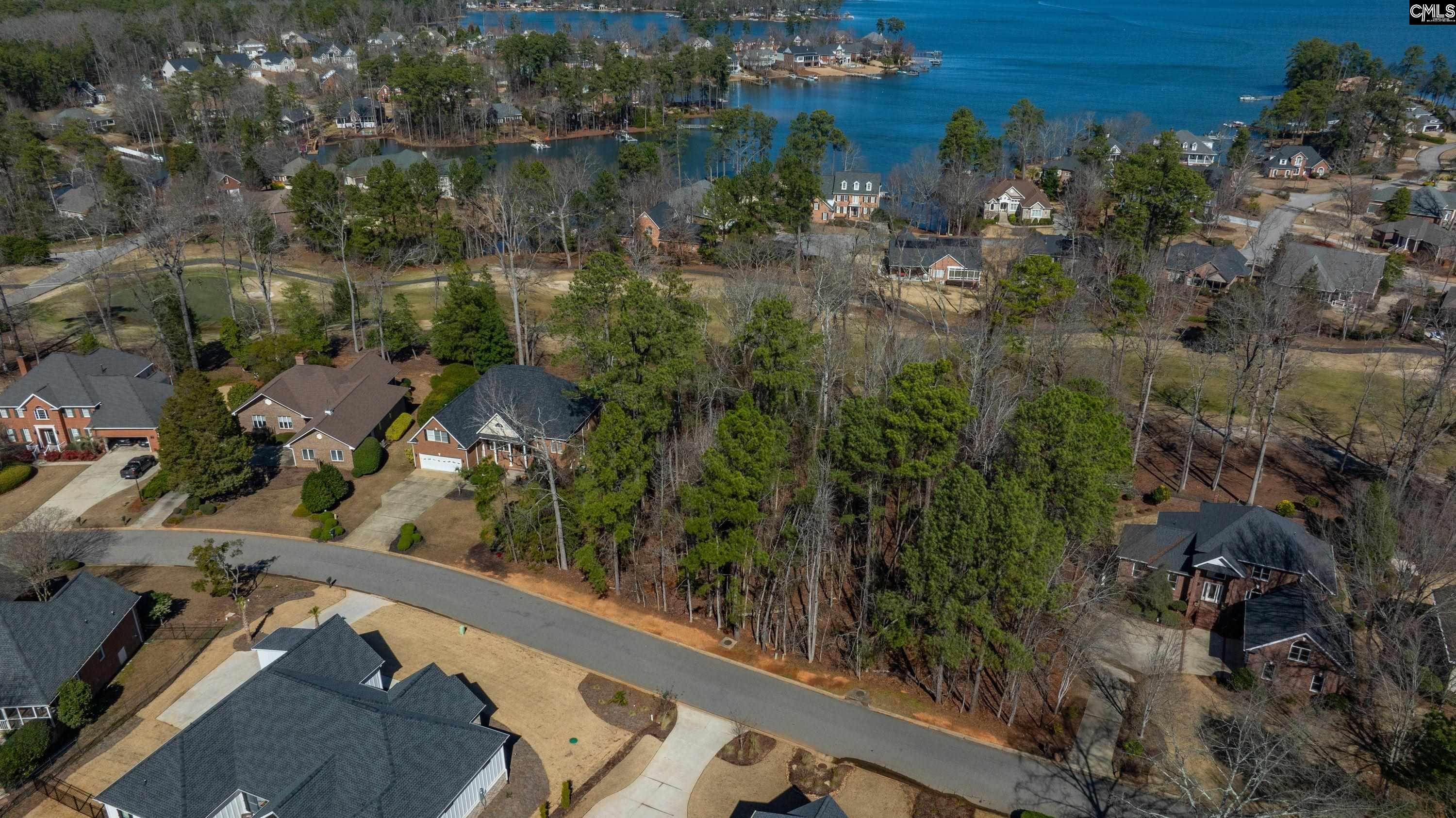 329 Oxenbridge Way Chapin, SC 29036