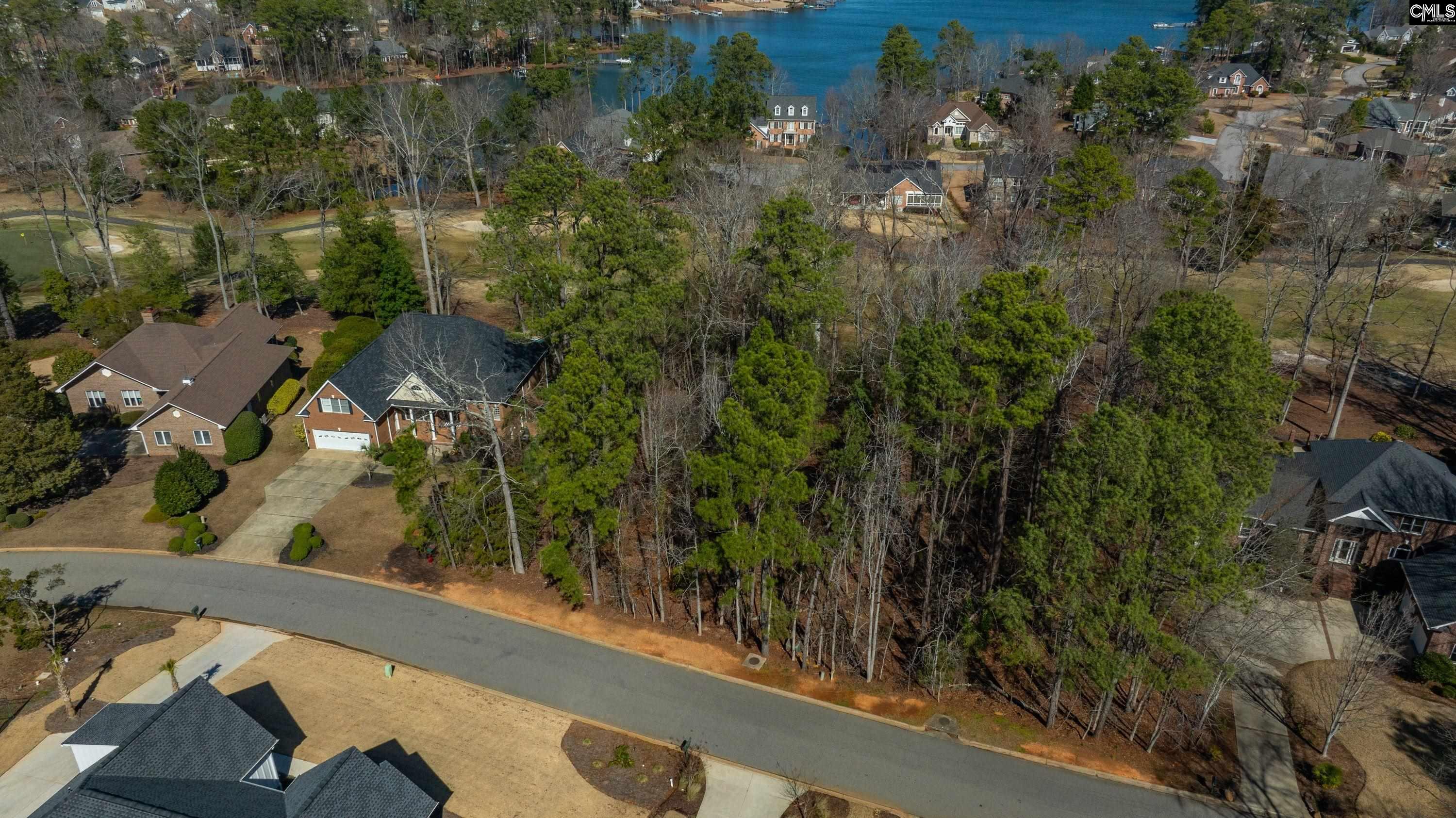 329 Oxenbridge Way Chapin, SC 29036