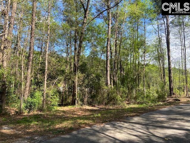 Ne Arcadia Lakes Drive Columbia, SC 29206