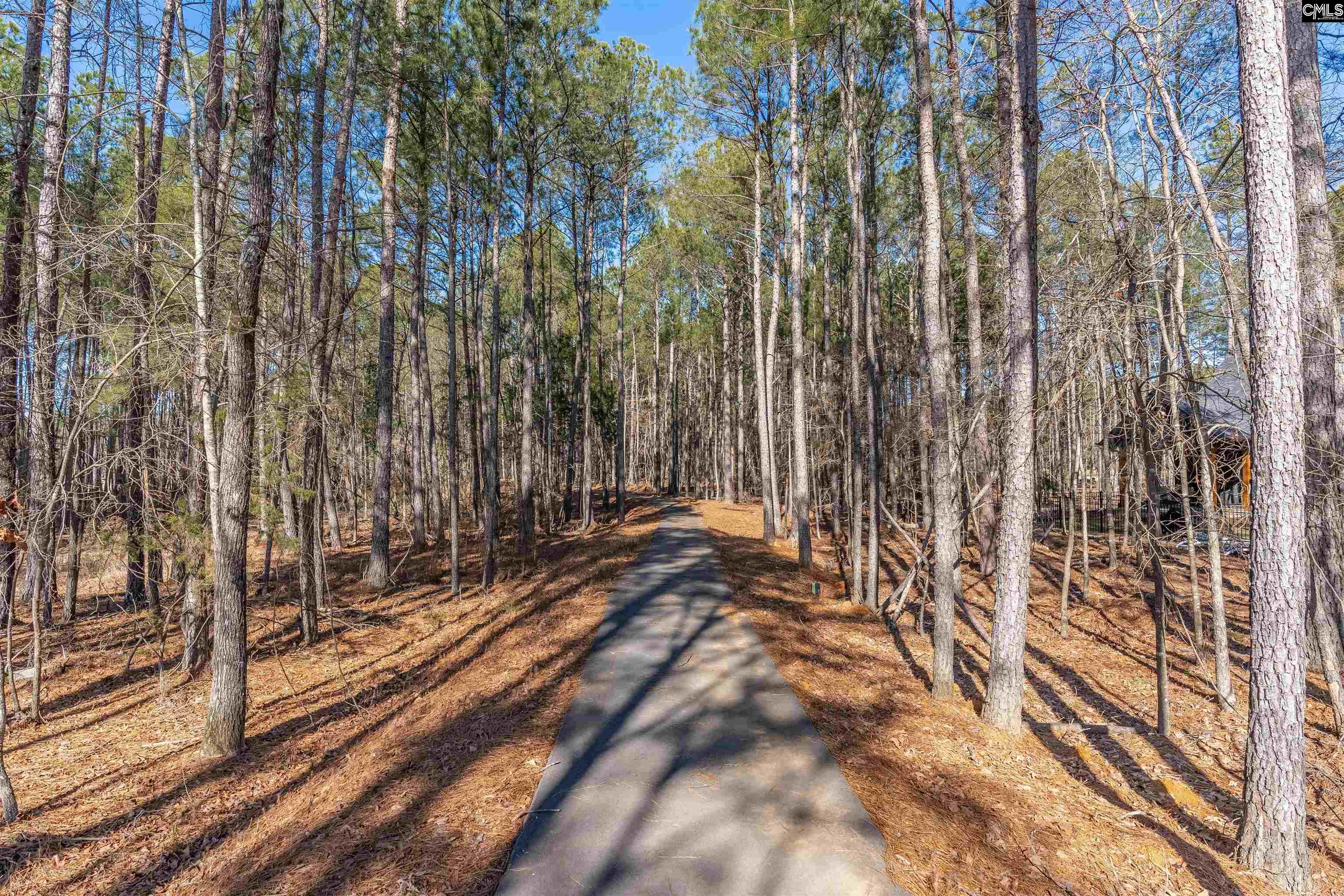 LOT 230 Granny Hill Road, Prosperity, South Carolina image 18