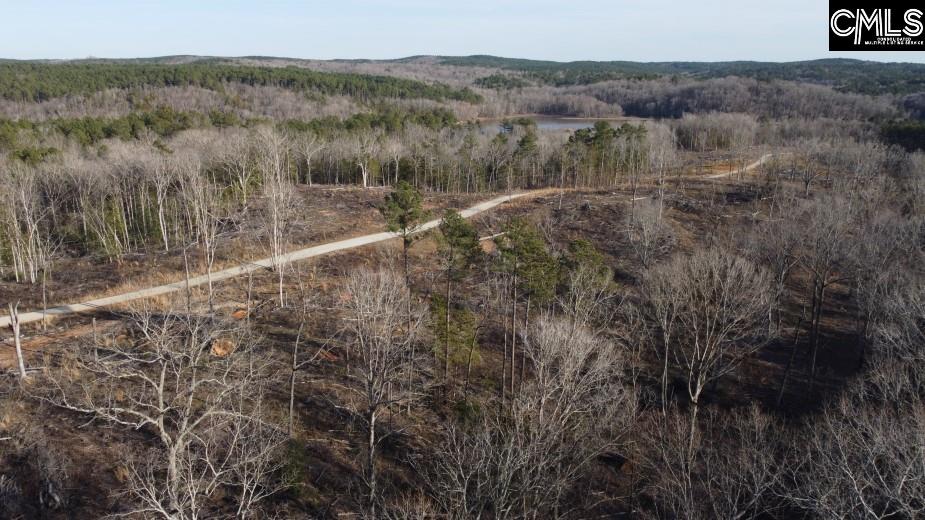 Debutary Road, Great Falls, South Carolina image 7