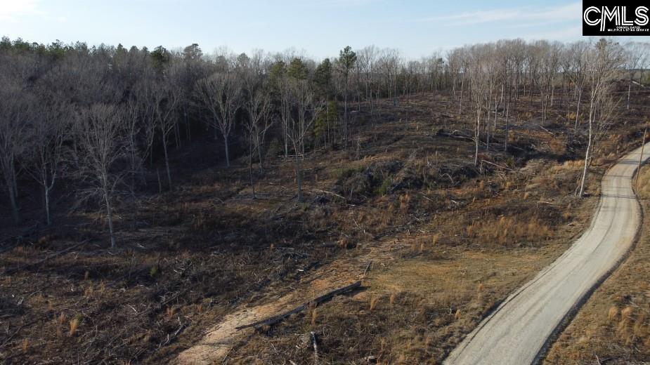 Debutary Road, Great Falls, South Carolina image 8