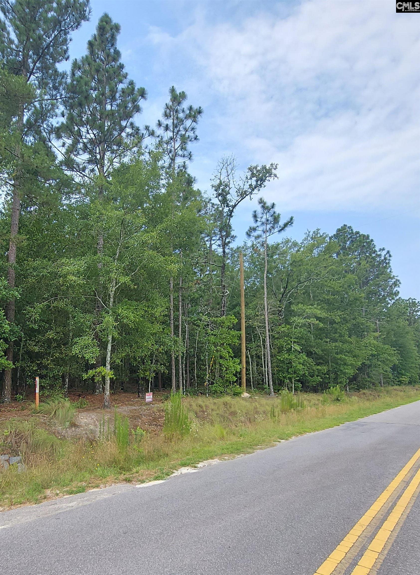 Windy Wood Road Lexington, SC 29073
