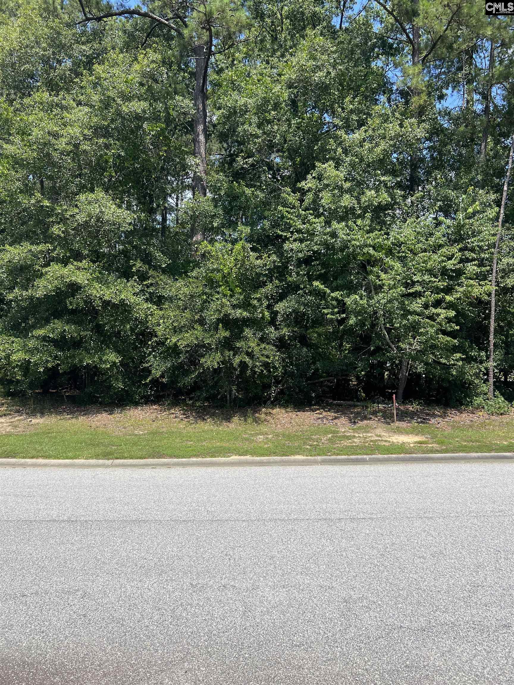29 Preserve Avenue Camden, SC 29020