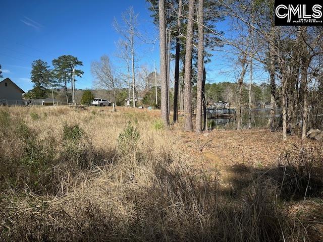 334 Breezy Bay Court, Gilbert, South Carolina image 17