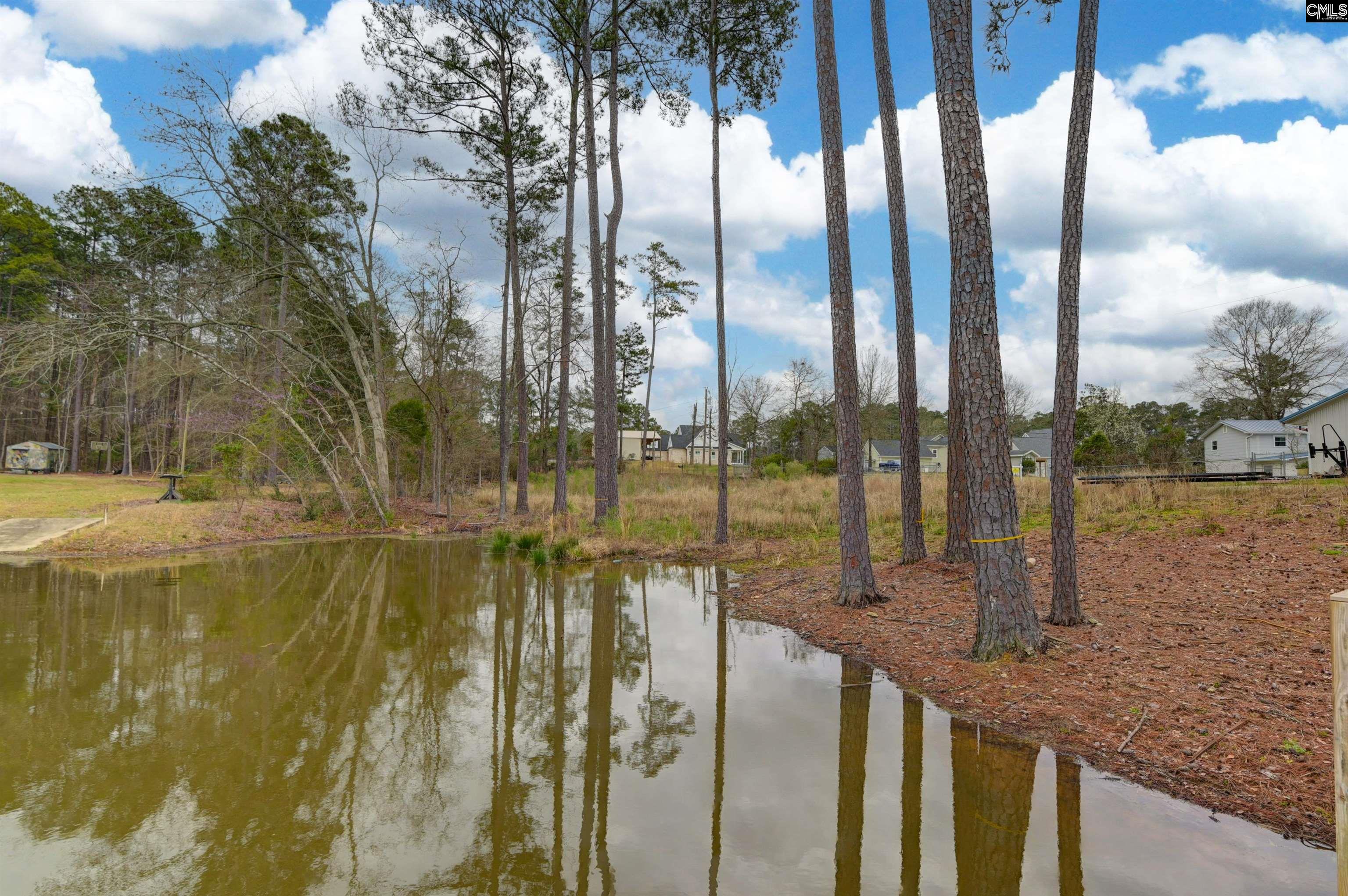 334 Breezy Bay Court Gilbert, SC 29054