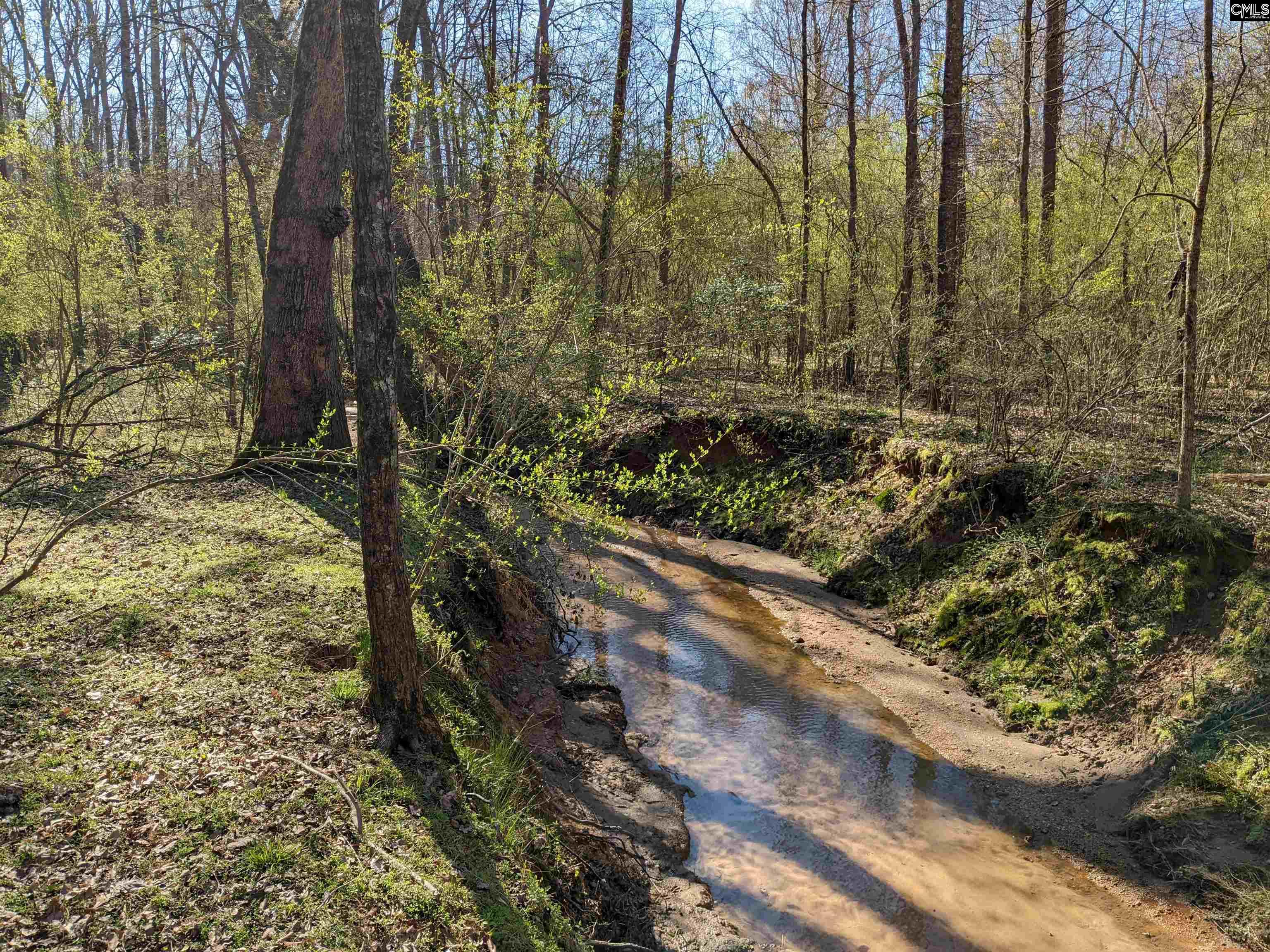 Springhill Drive, Newberry, South Carolina image 2