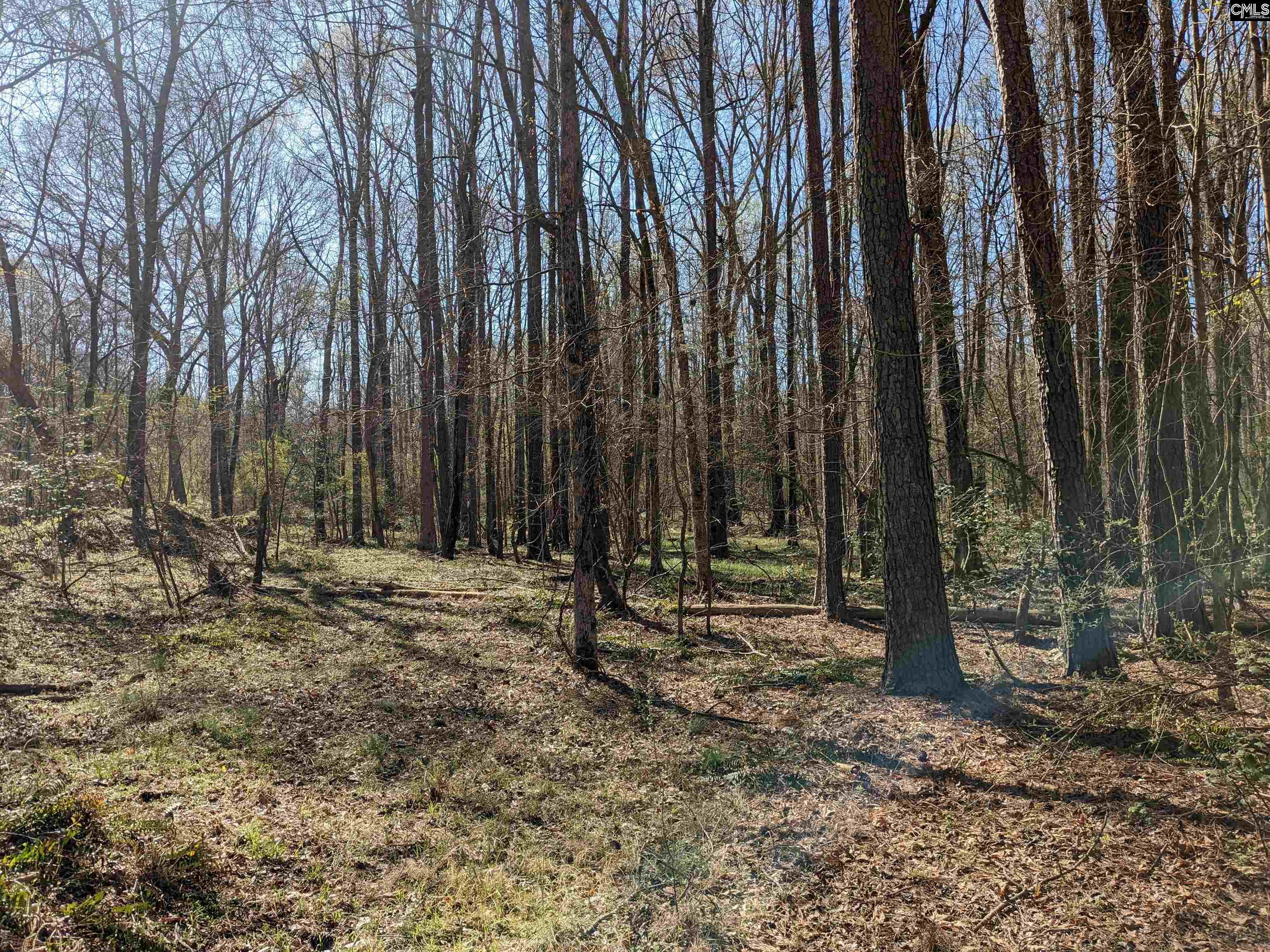 Springhill Drive, Newberry, South Carolina image 14