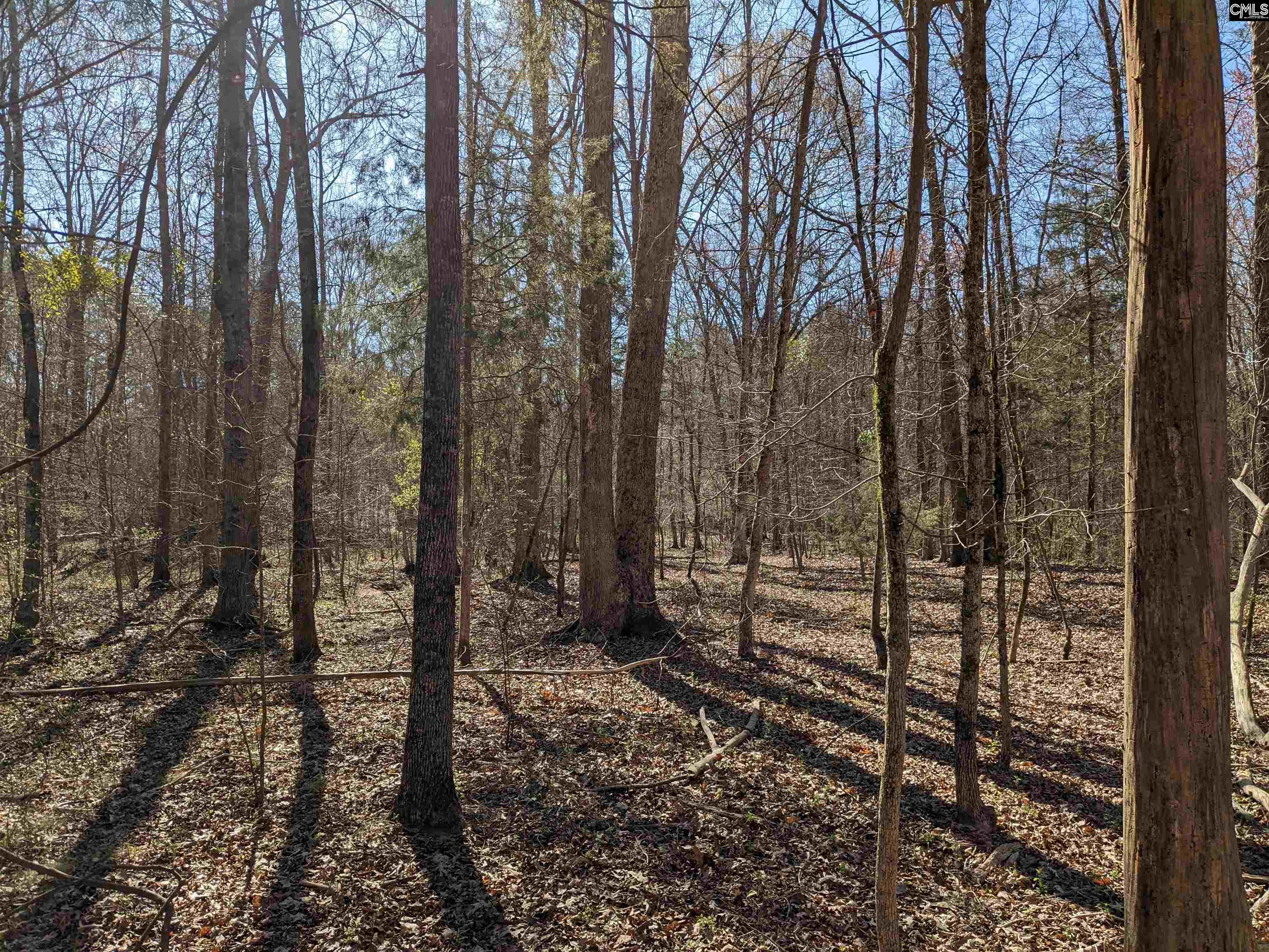 Springhill Drive, Newberry, South Carolina image 16