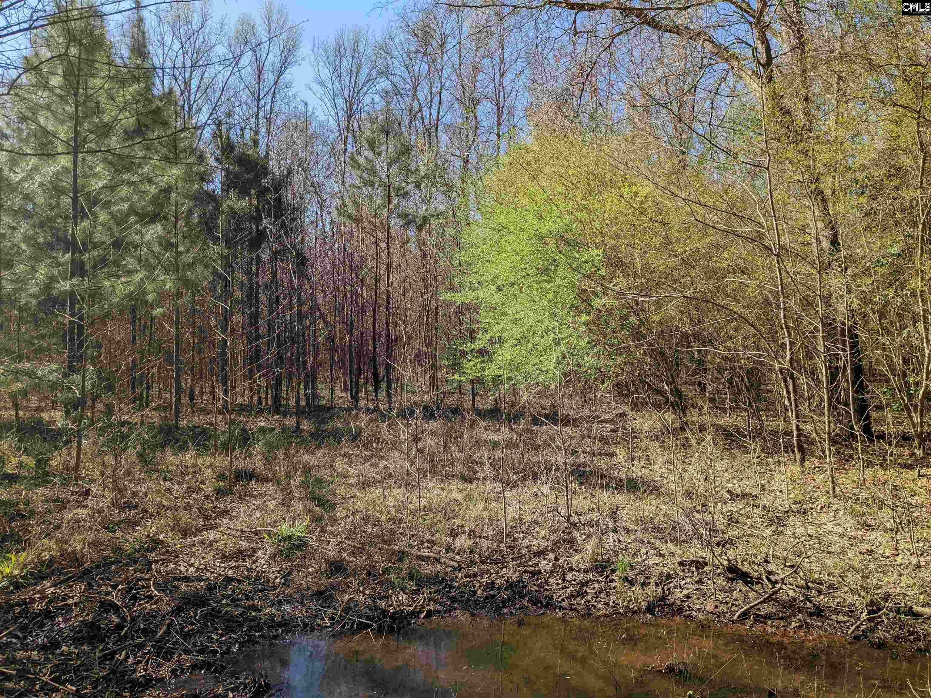 Springhill Drive, Newberry, South Carolina image 6