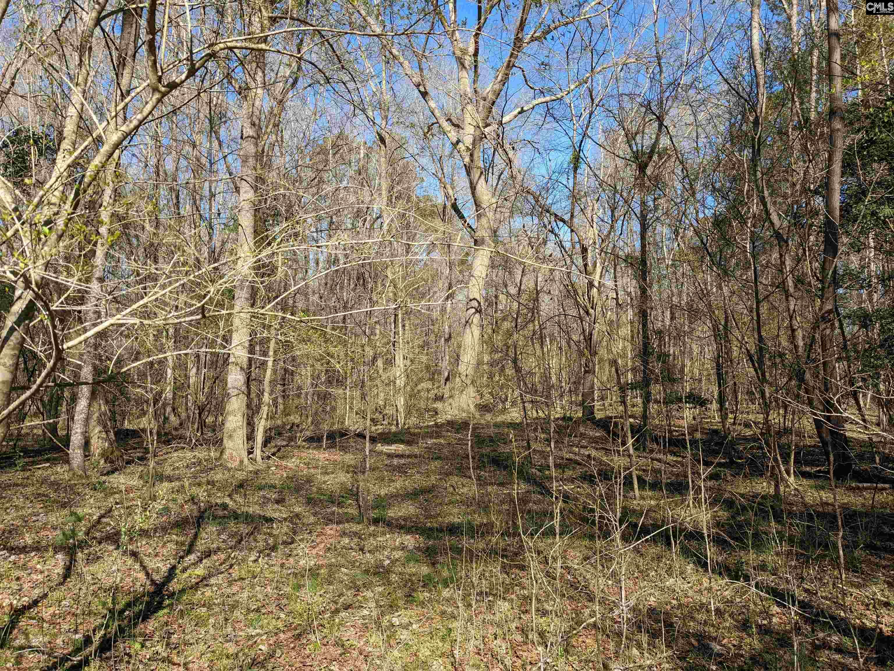 Springhill Drive, Newberry, South Carolina image 7