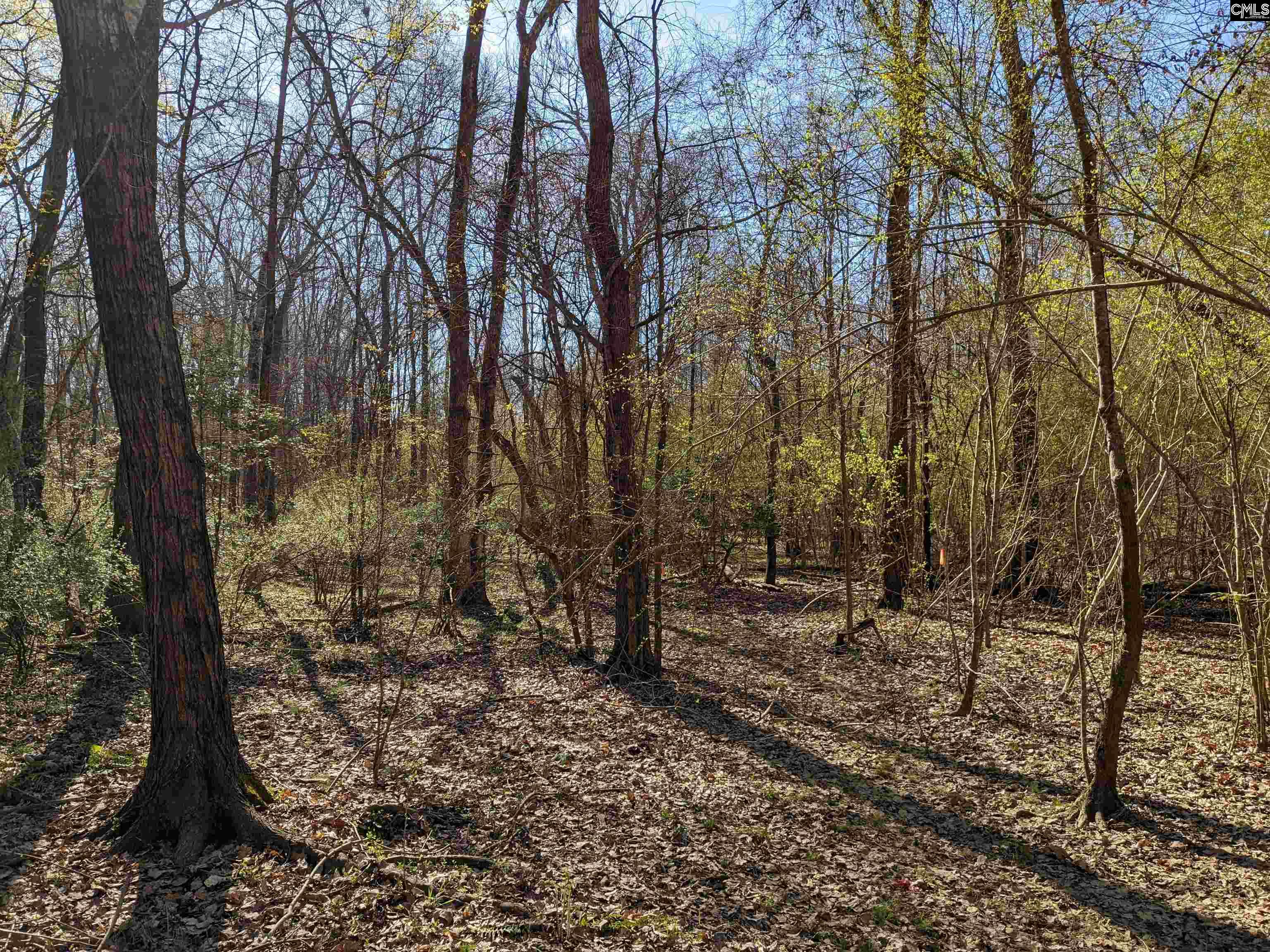 Springhill Drive, Newberry, South Carolina image 11