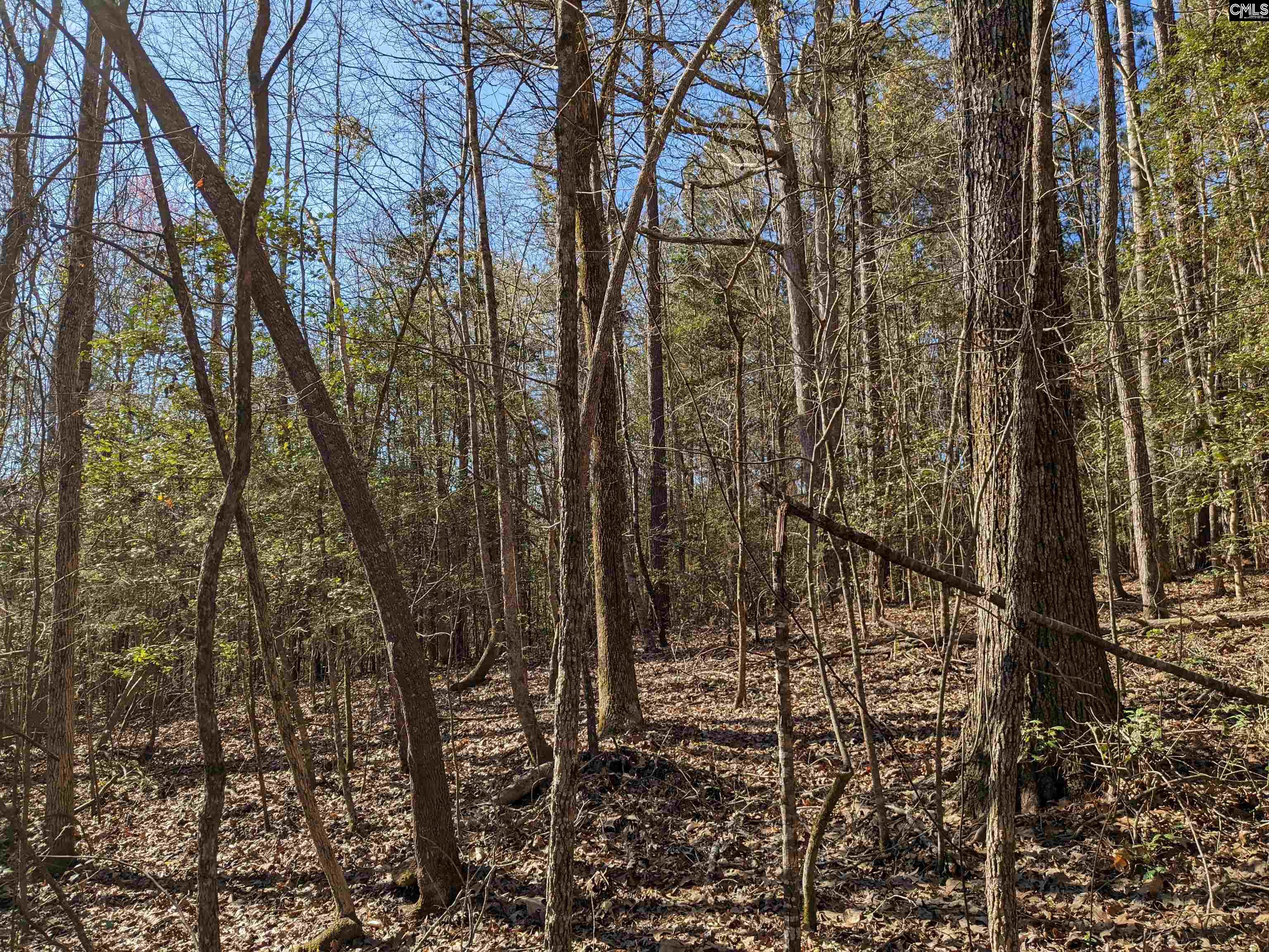 Springhill Drive, Newberry, South Carolina image 14