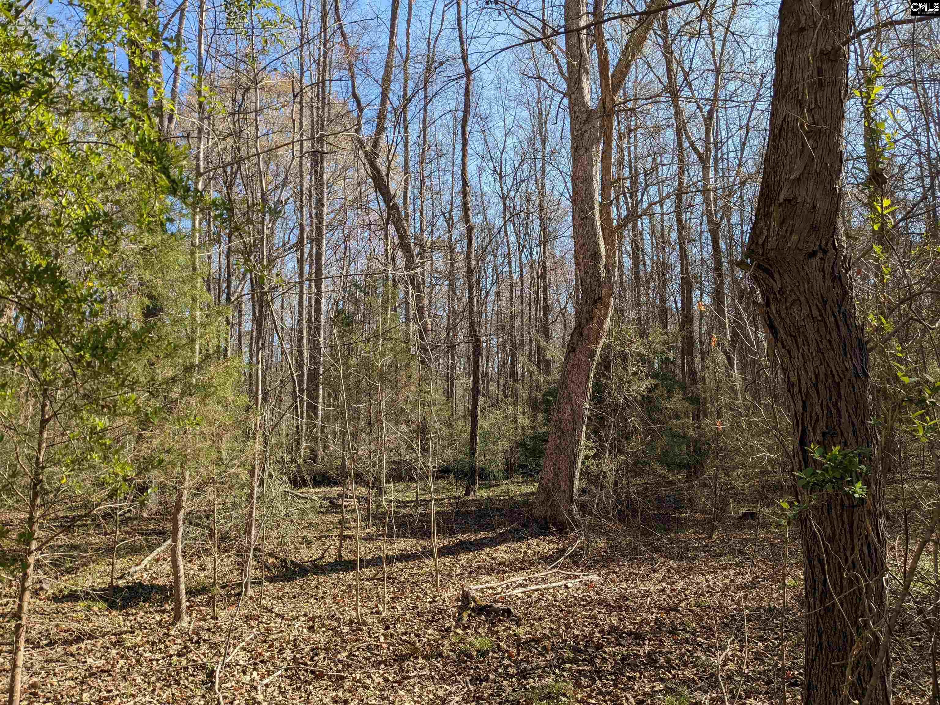 Springhill Drive, Newberry, South Carolina image 3
