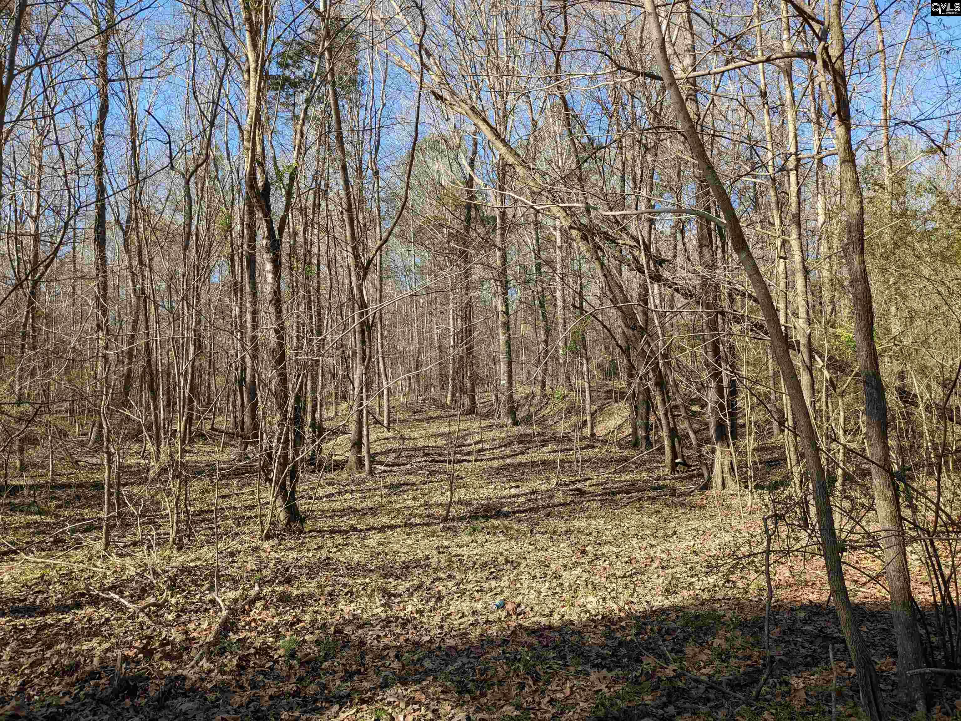 Springhill Drive, Newberry, South Carolina image 7