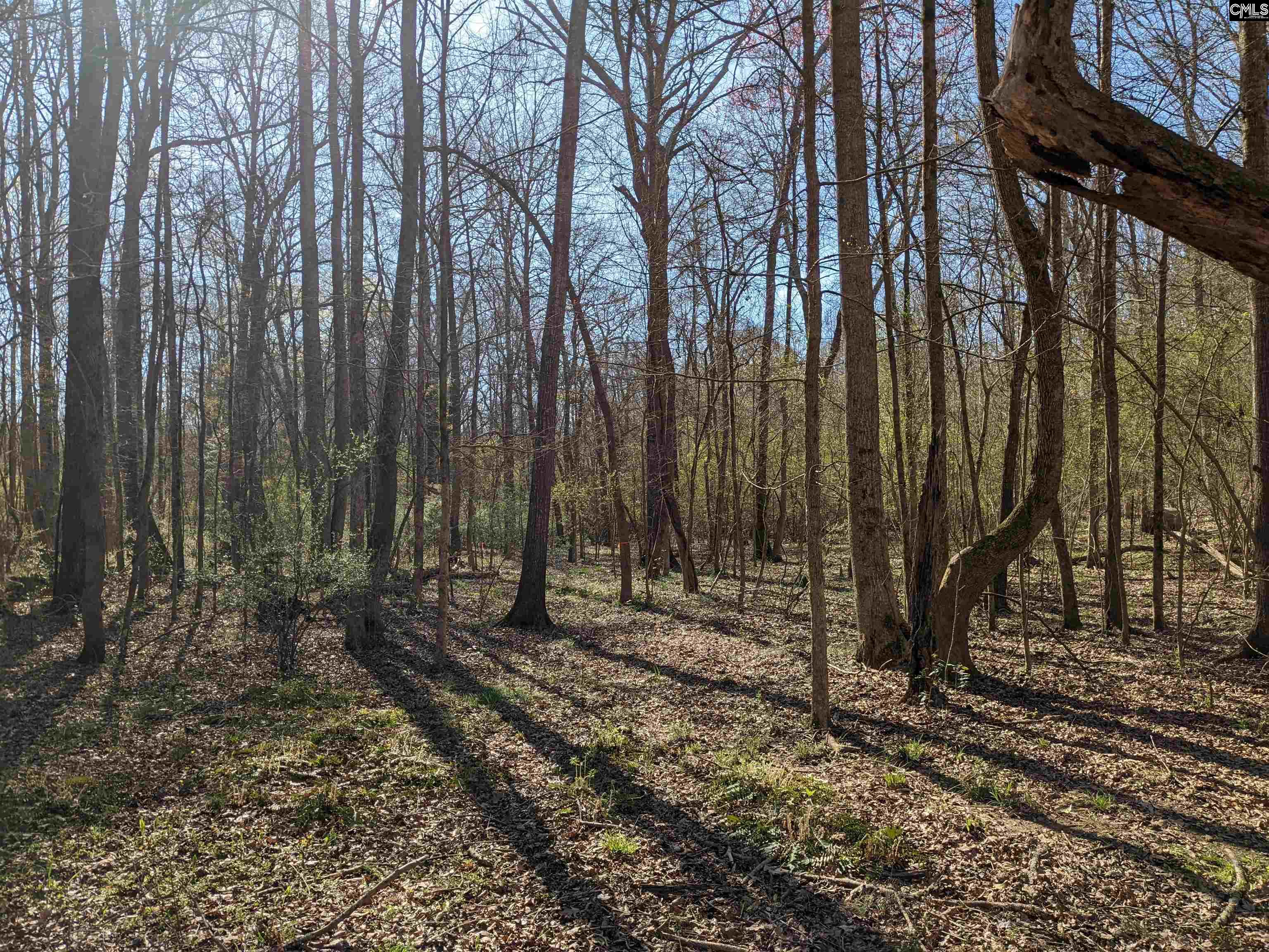 Springhill Drive, Newberry, South Carolina image 9