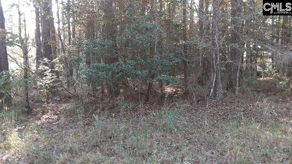 1458 Meadowview Lane, Lugoff, South Carolina image 5