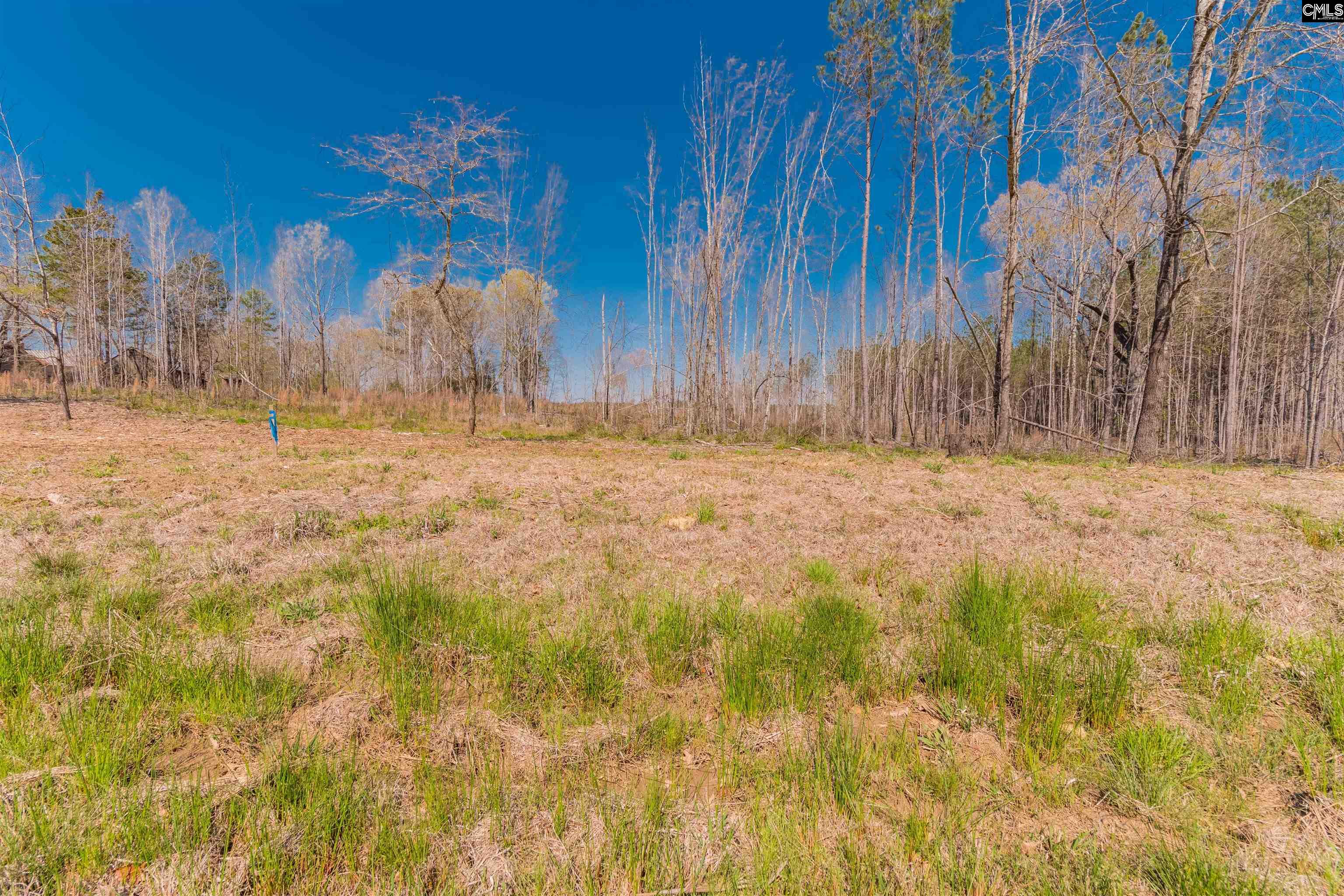 Land for sale in Batesburg SC