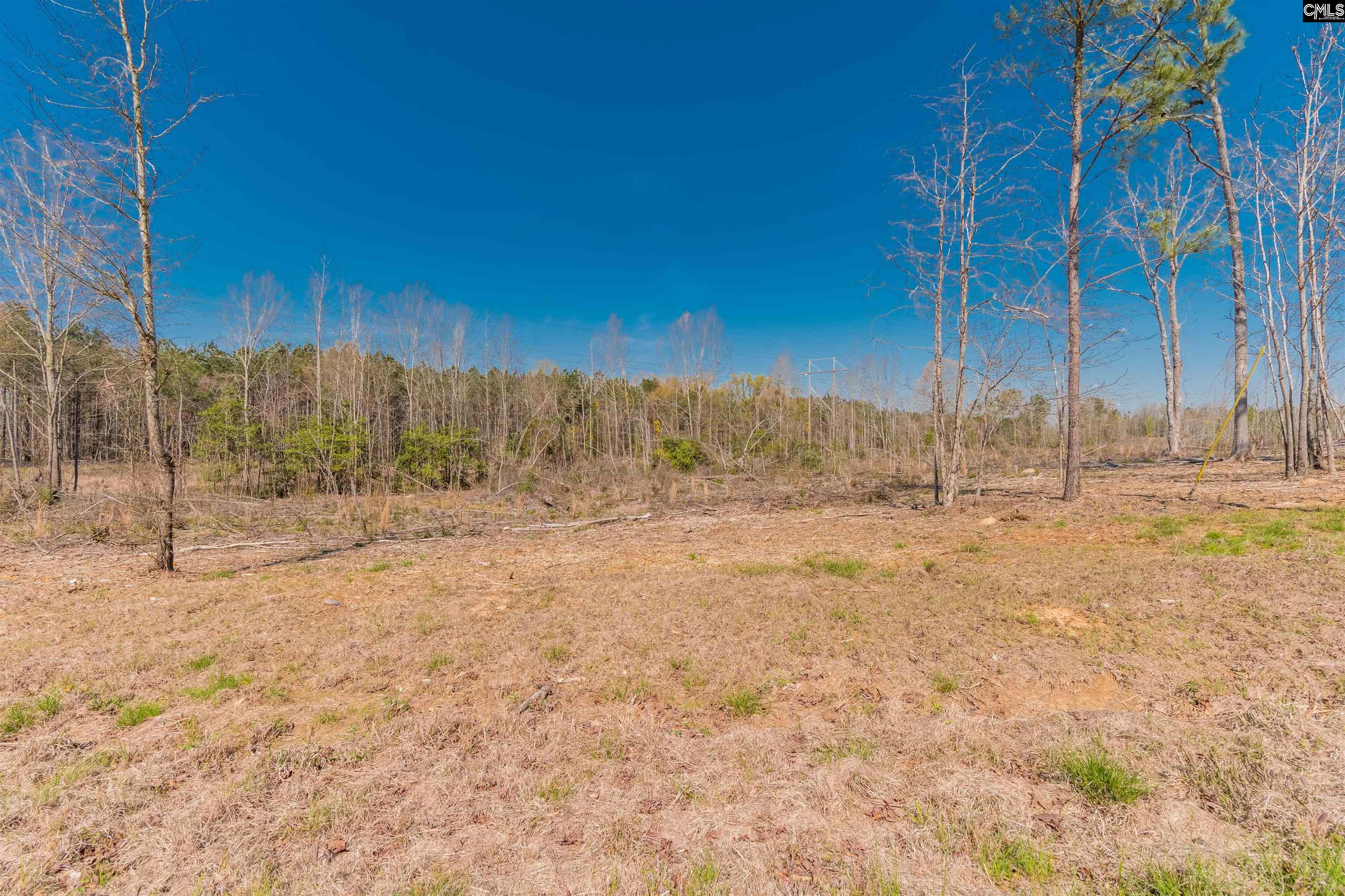 Spann Road UNIT #8 Batesburg, SC 29006