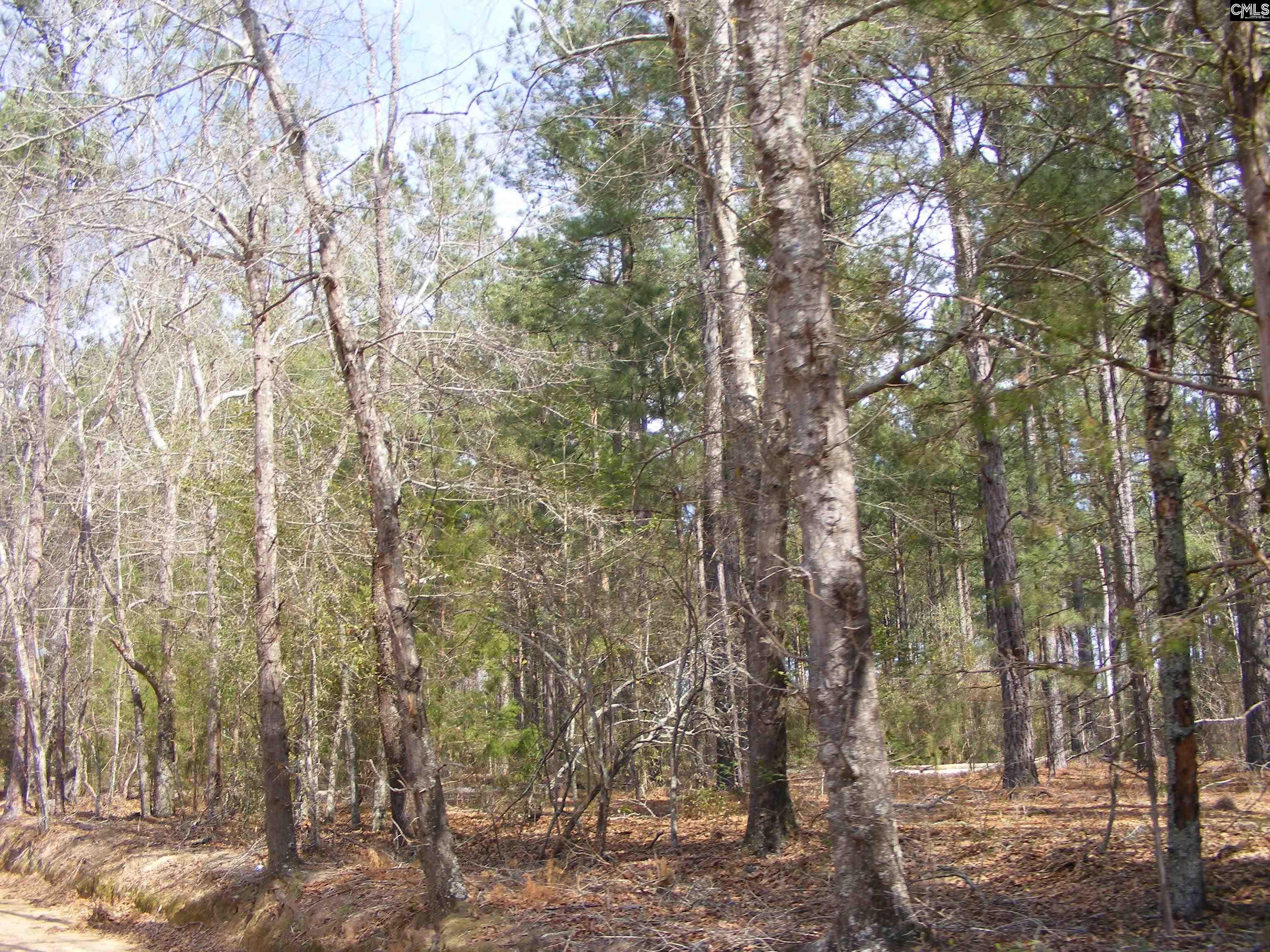  Lots For Sale - 000 Salley Road, Salley, SC - 11 