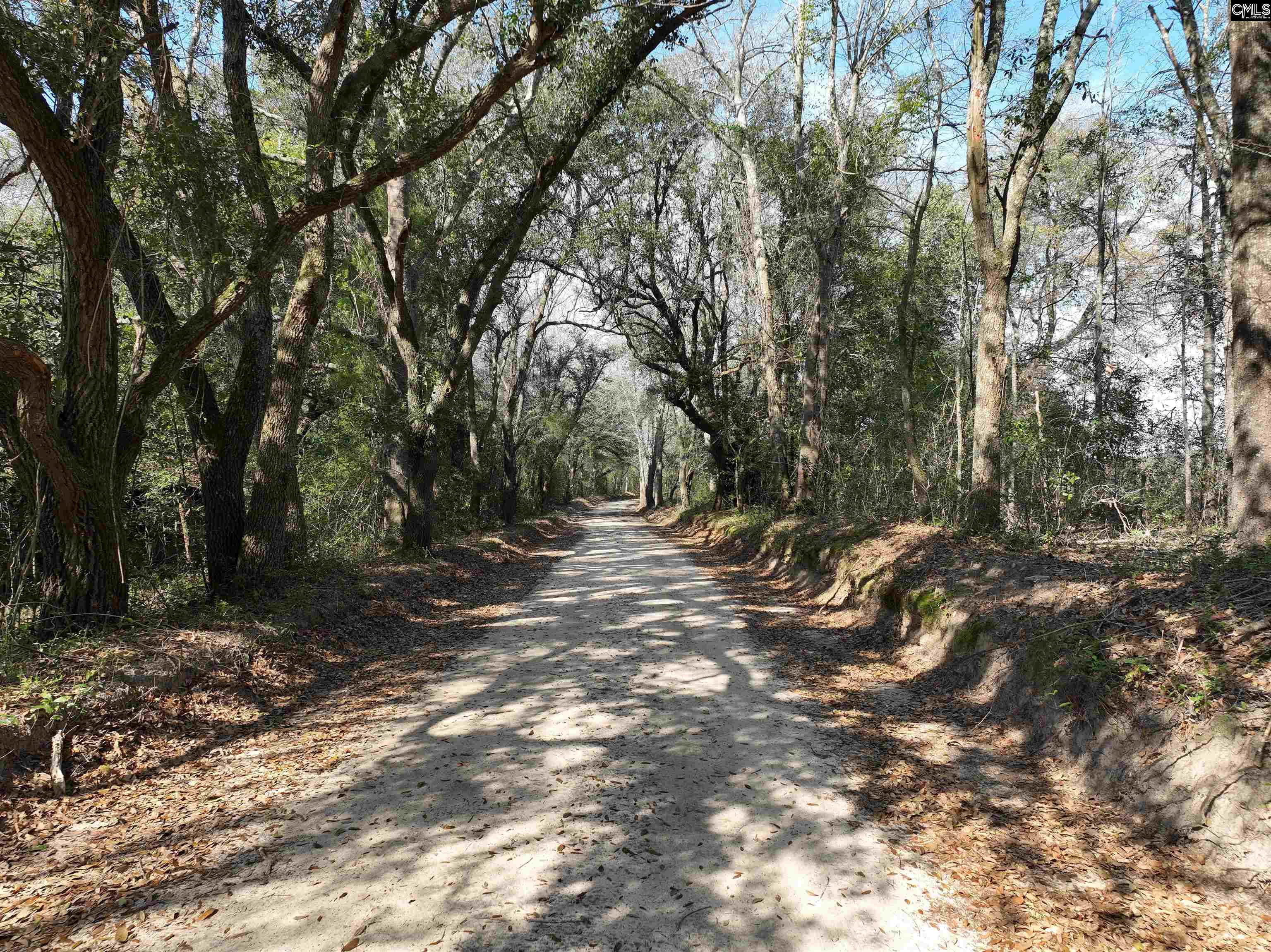  Lots For Sale - 000 Salley Road, Salley, SC - 2 