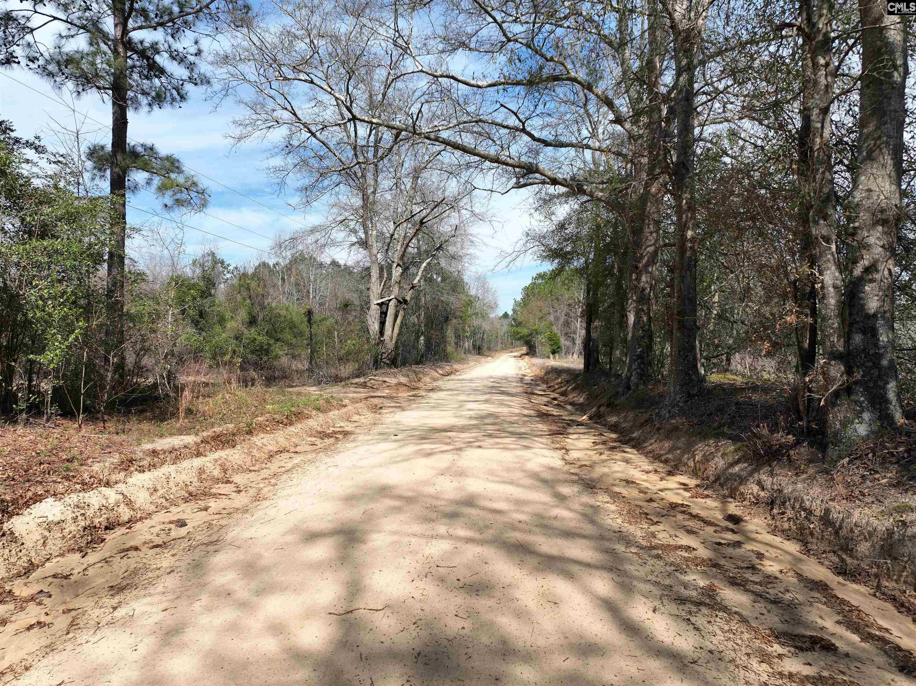 Lots For Sale - 000 Salley Road, Salley, SC - 3 