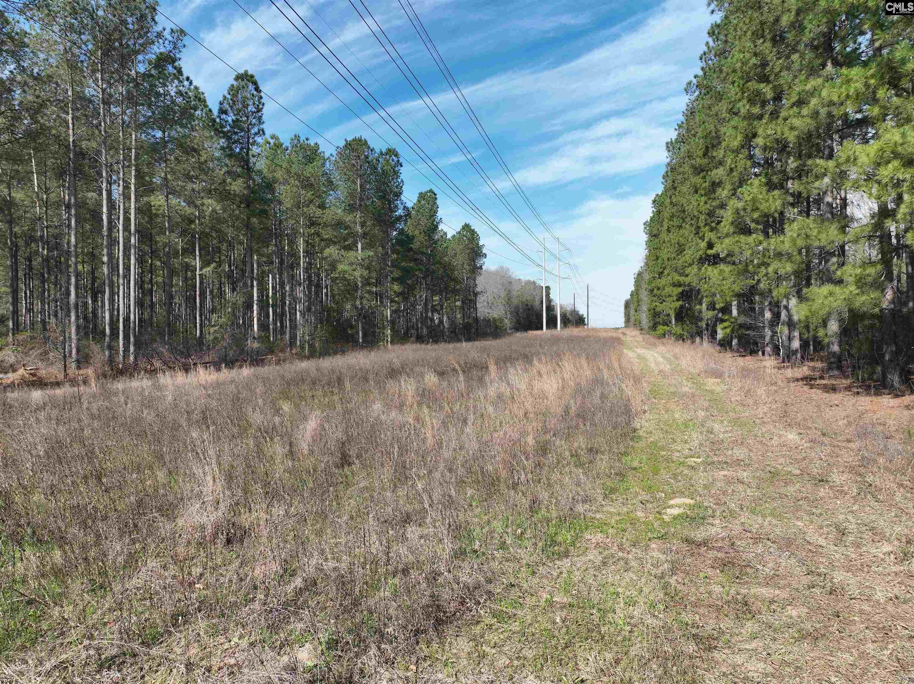  Lots For Sale - 000 Salley Road, Salley, SC - 5 