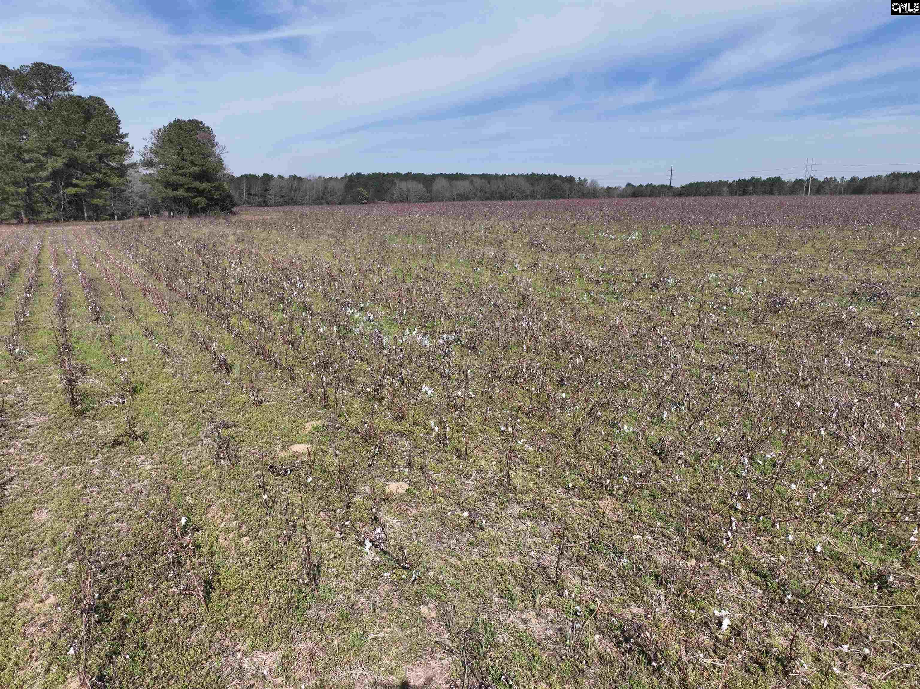  Lots For Sale - 000 Salley Road, Salley, SC - 7 