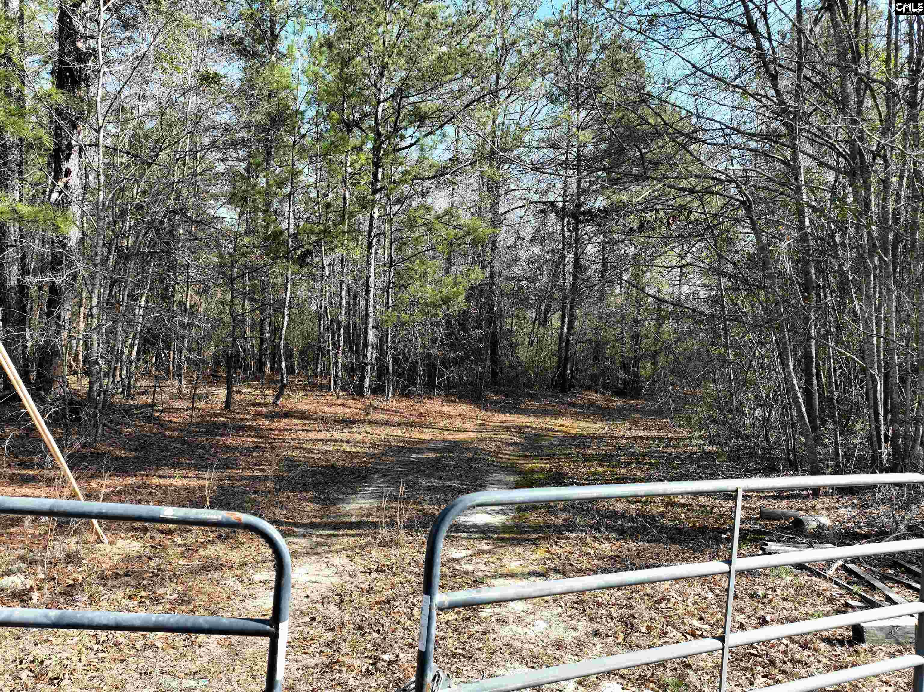  Lots For Sale - 0000 Salley, Salley, SC - 12 