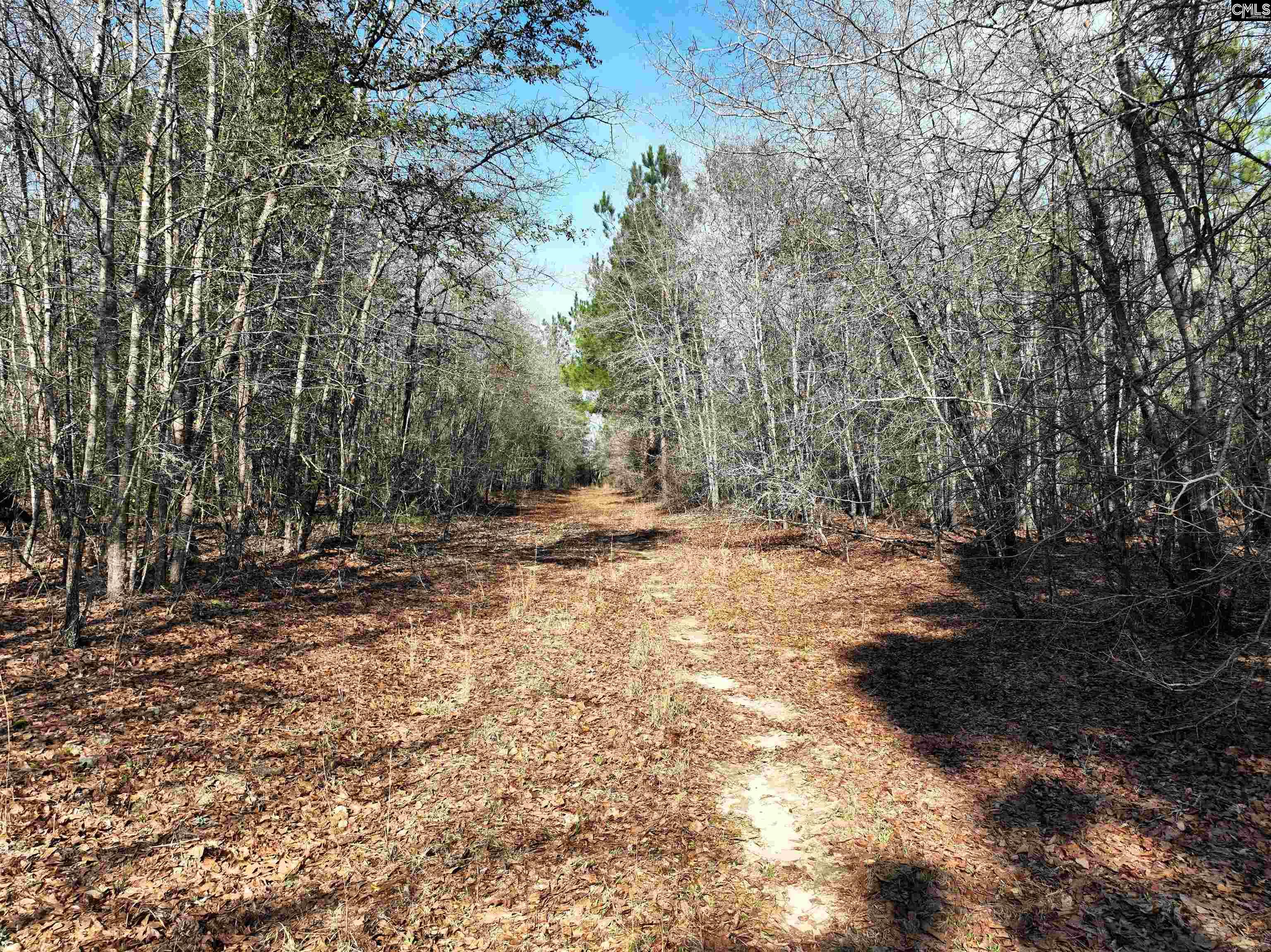  Lots For Sale - 0000 Salley, Salley, SC - 14 