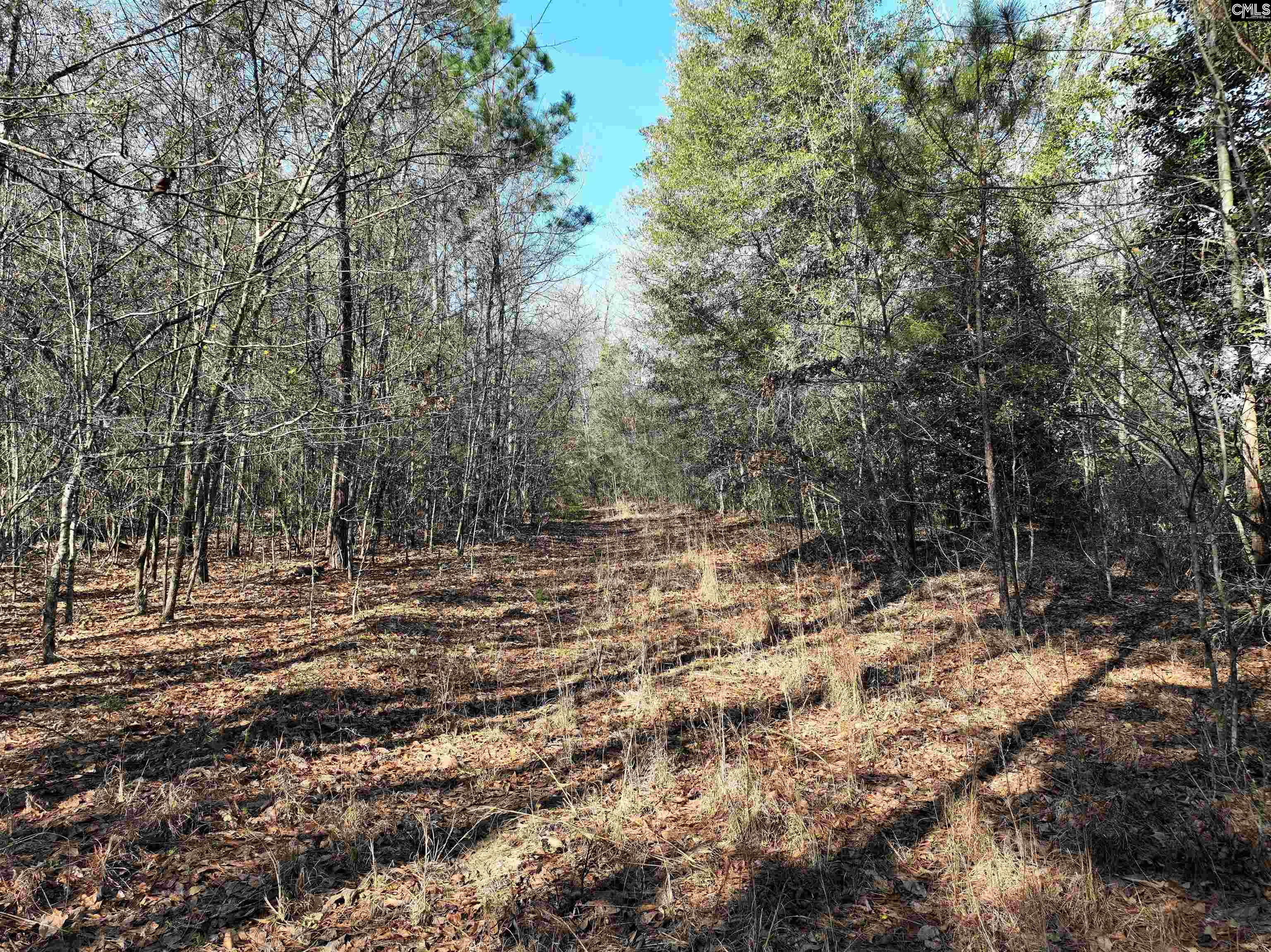  Lots For Sale - 0000 Salley, Salley, SC - 15 