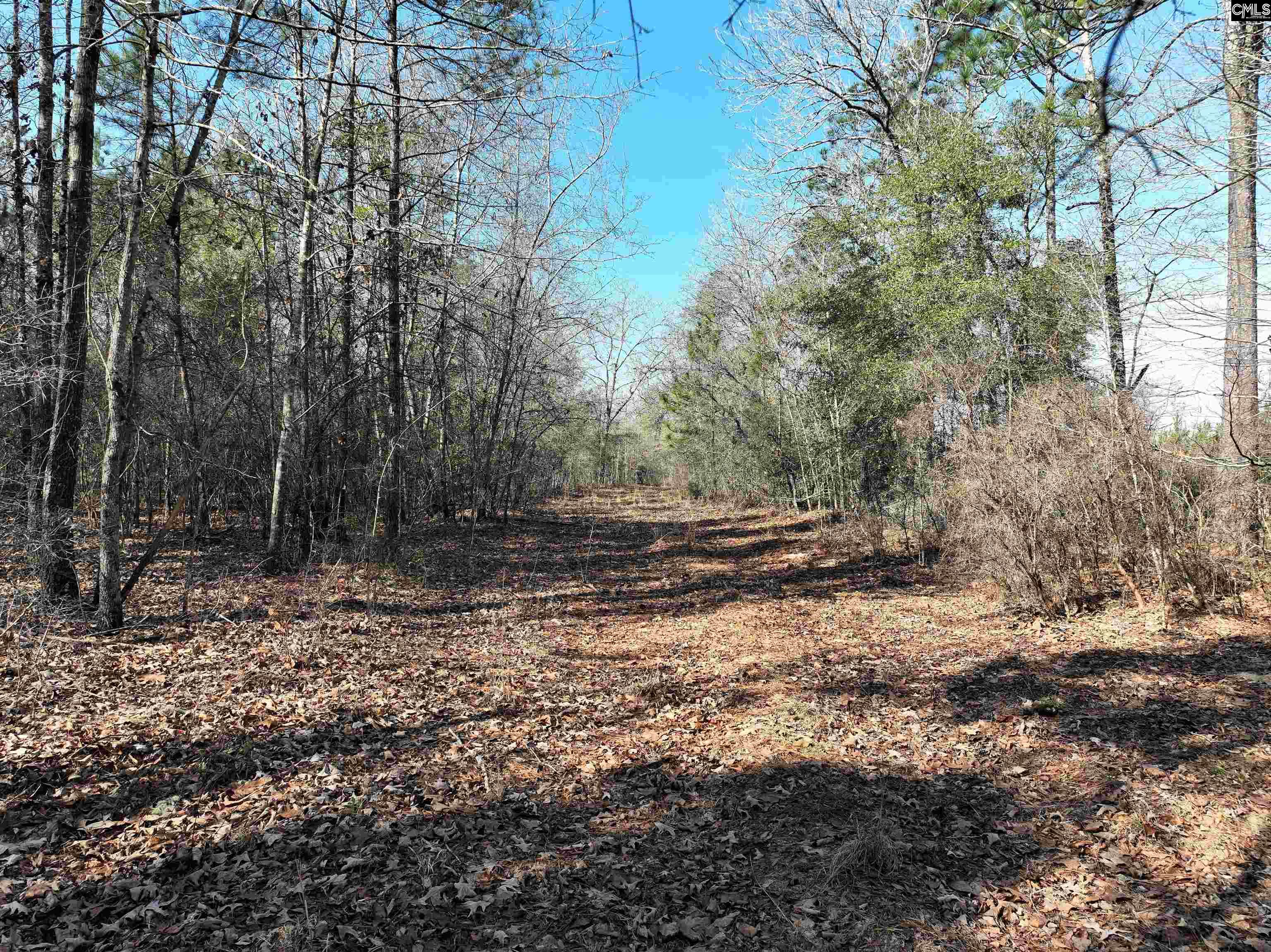  Lots For Sale - 0000 Salley, Salley, SC - 16 