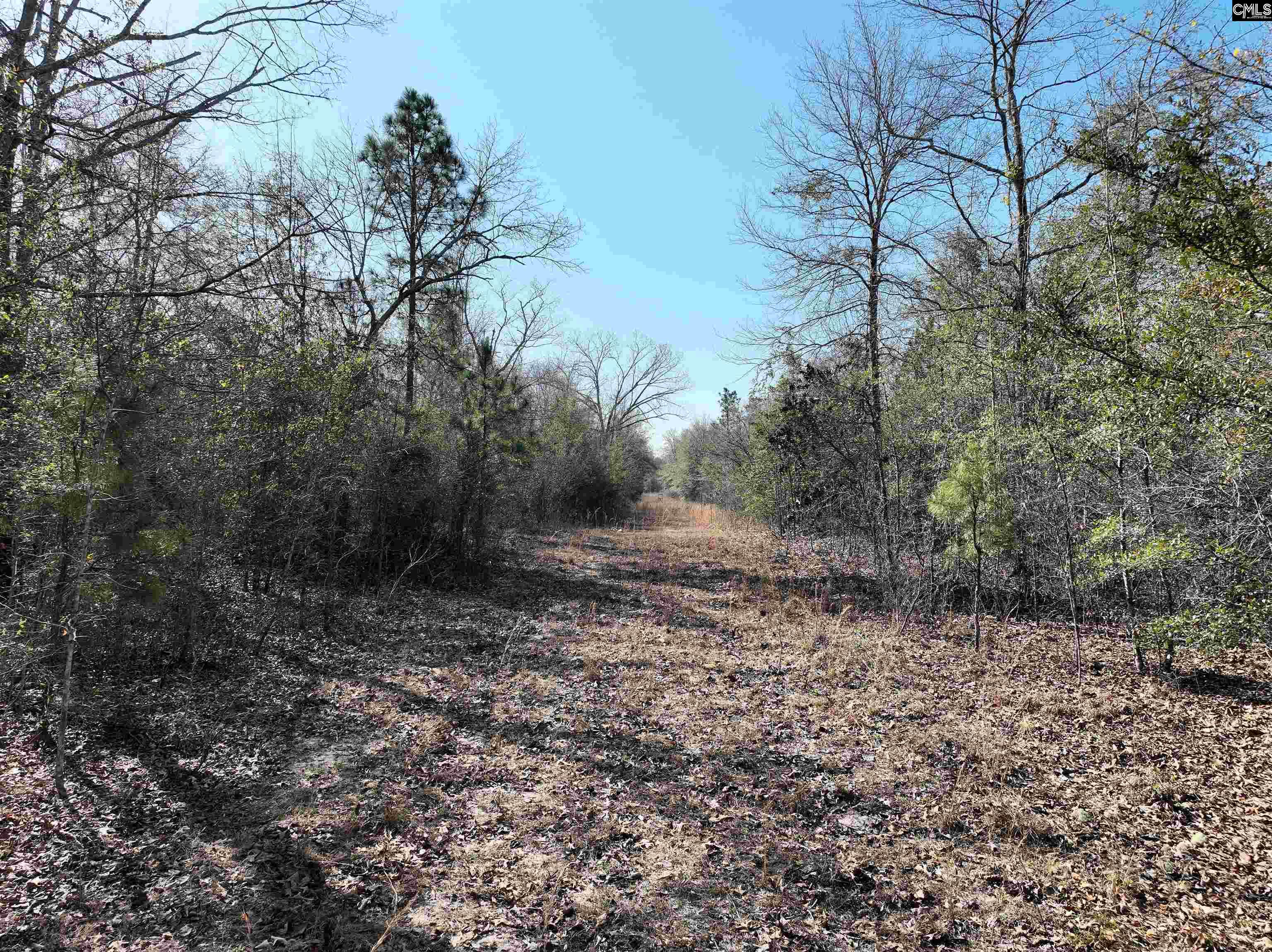  Lots For Sale - 0000 Salley, Salley, SC - 17 