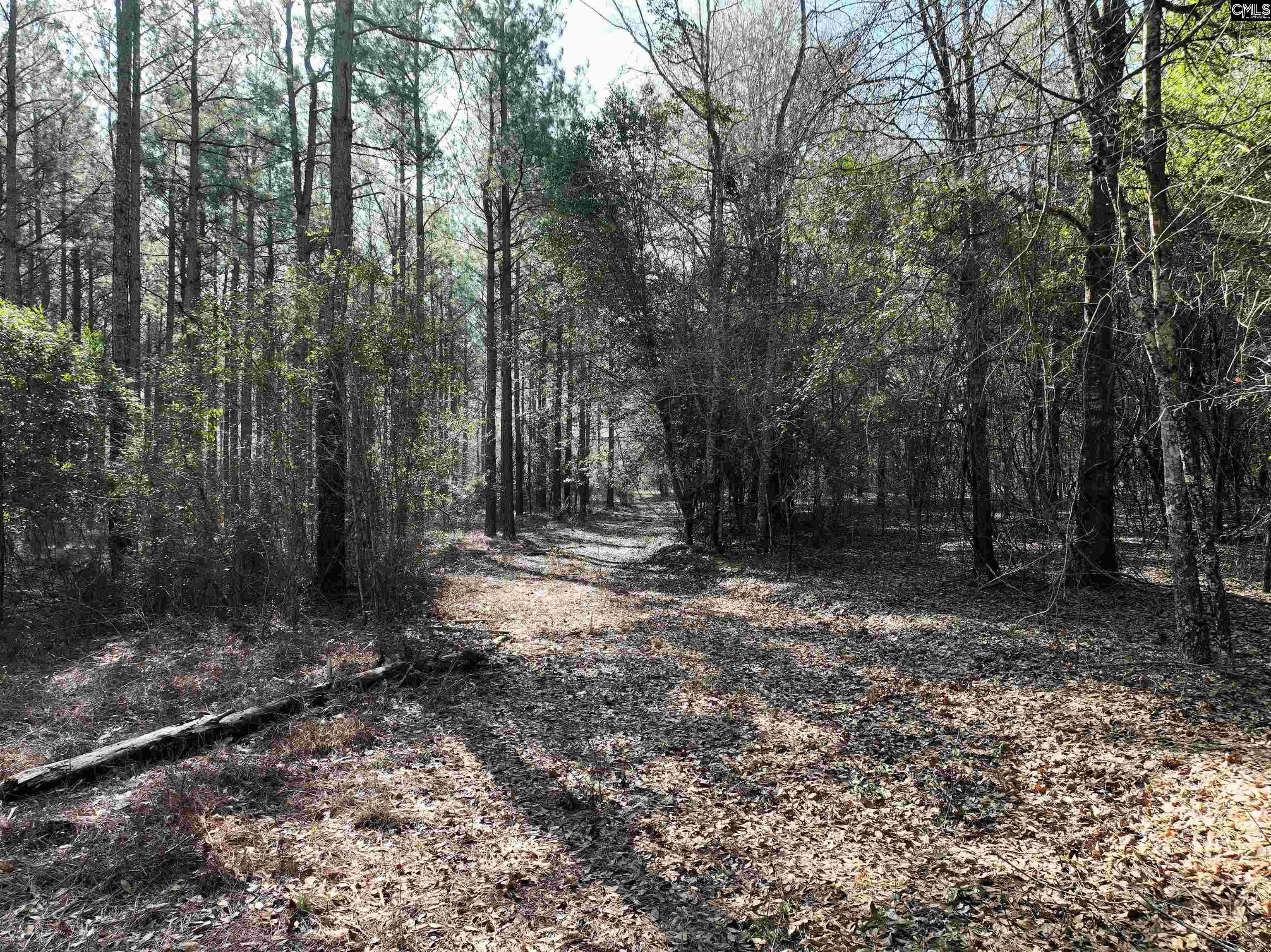  Lots For Sale - 0000 Salley, Salley, SC - 19 